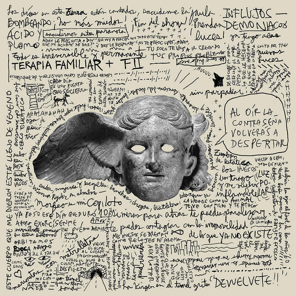 Terapia Familiar - Animal X