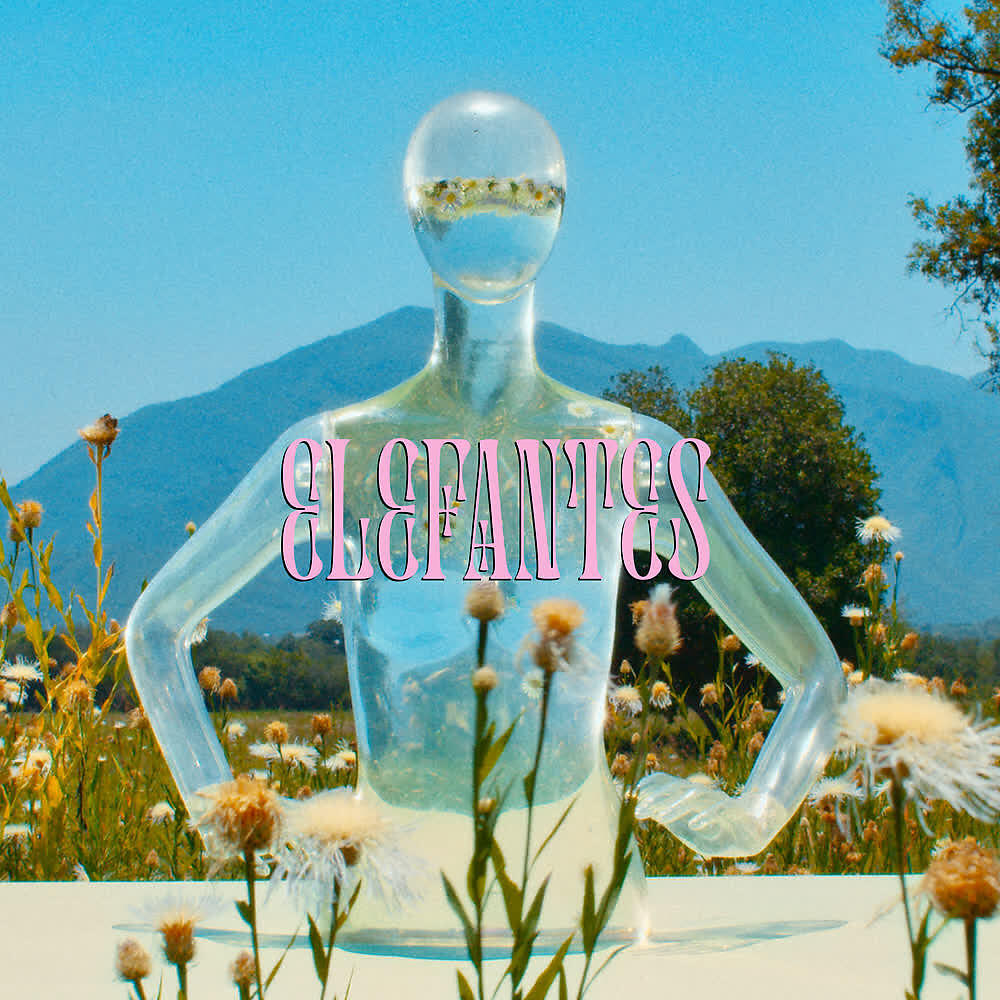 Karla Cruise - Elefantes