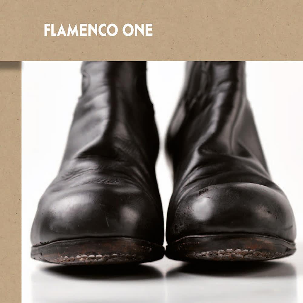 Постер альбома Flamenco One