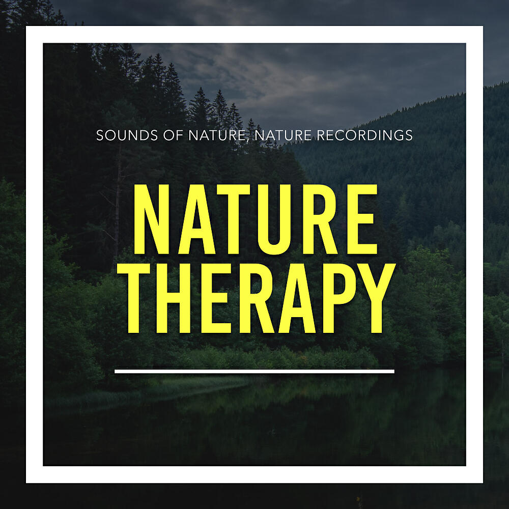 Sounds Of Nature - Water Streams For Sleep