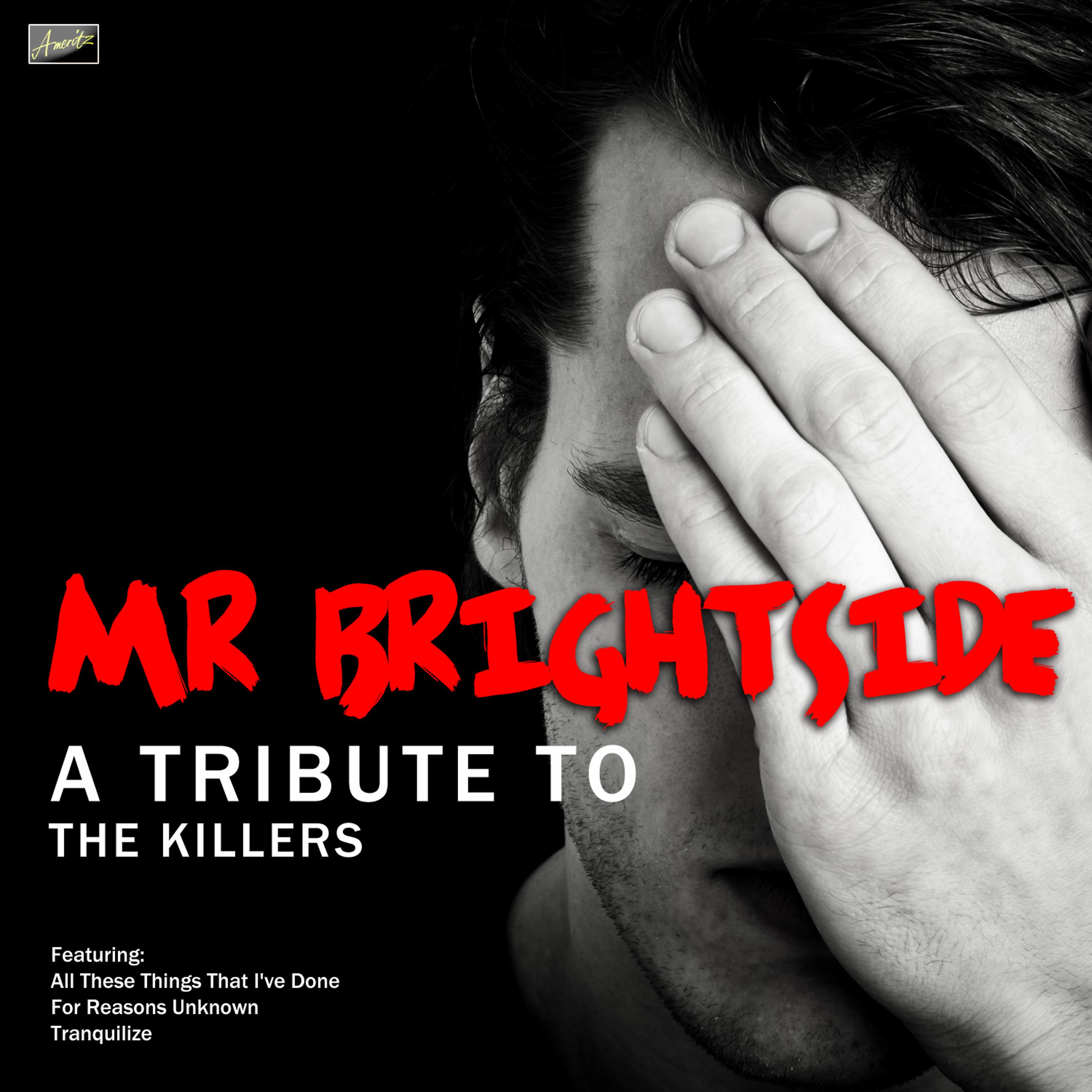 Постер альбома Mr Brightside - A Tribute to The Killers