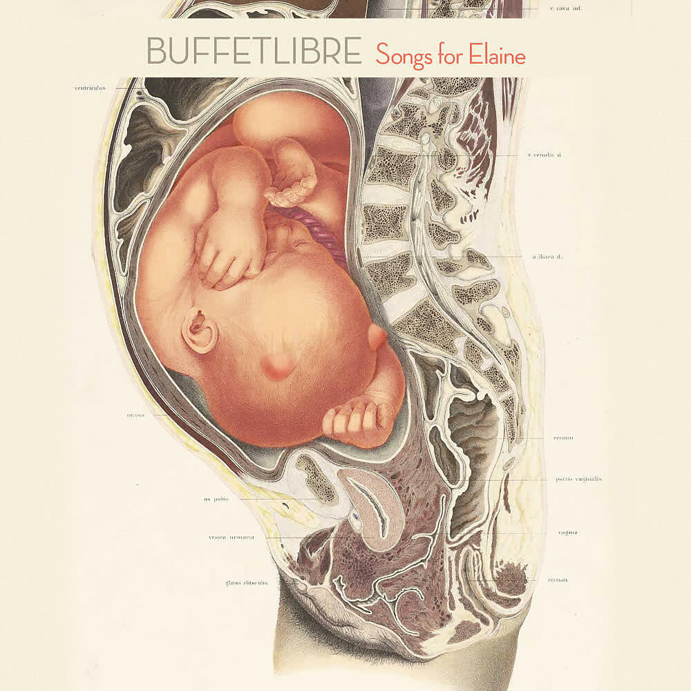 Buffetlibre - A Song for Elaine