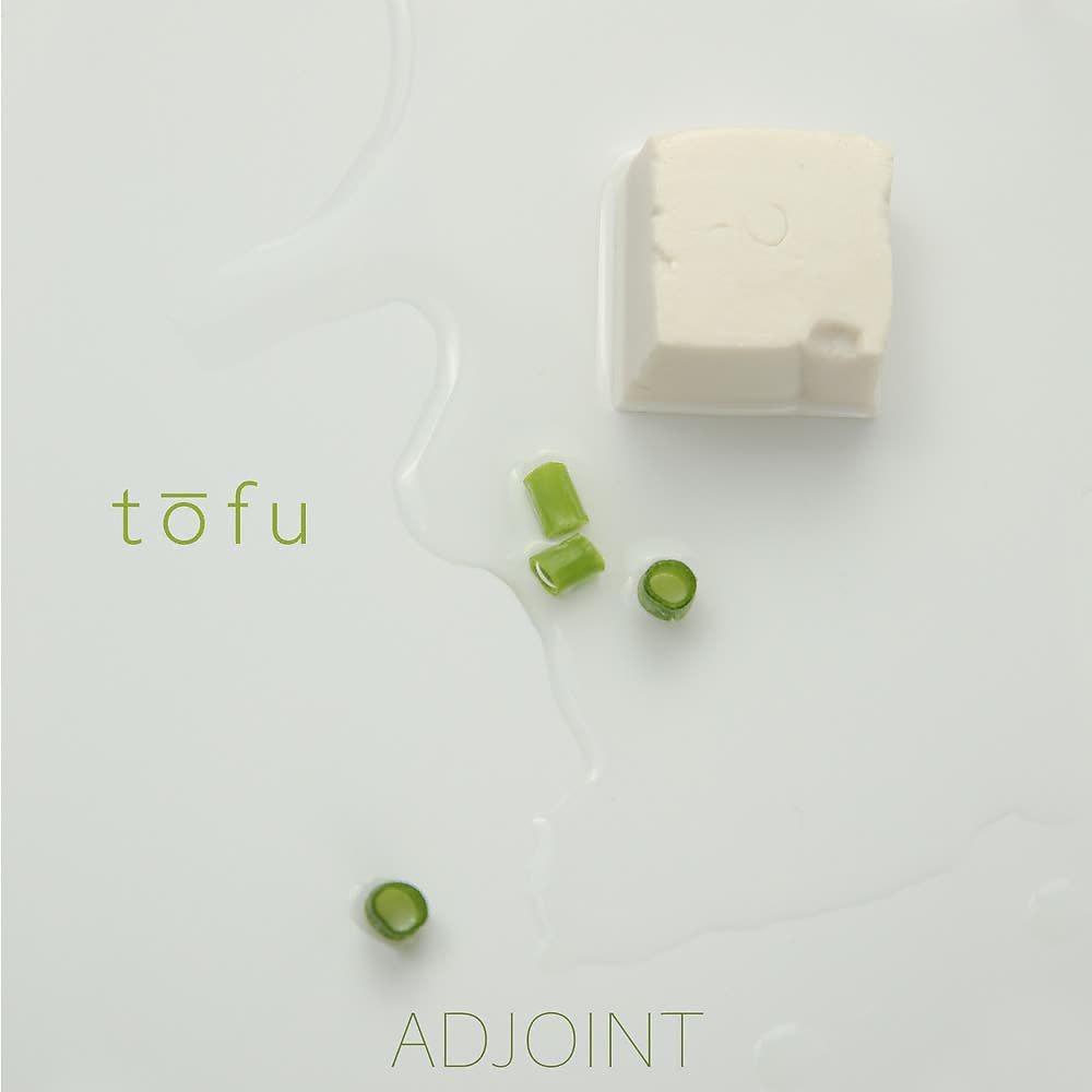 Постер альбома Tofu