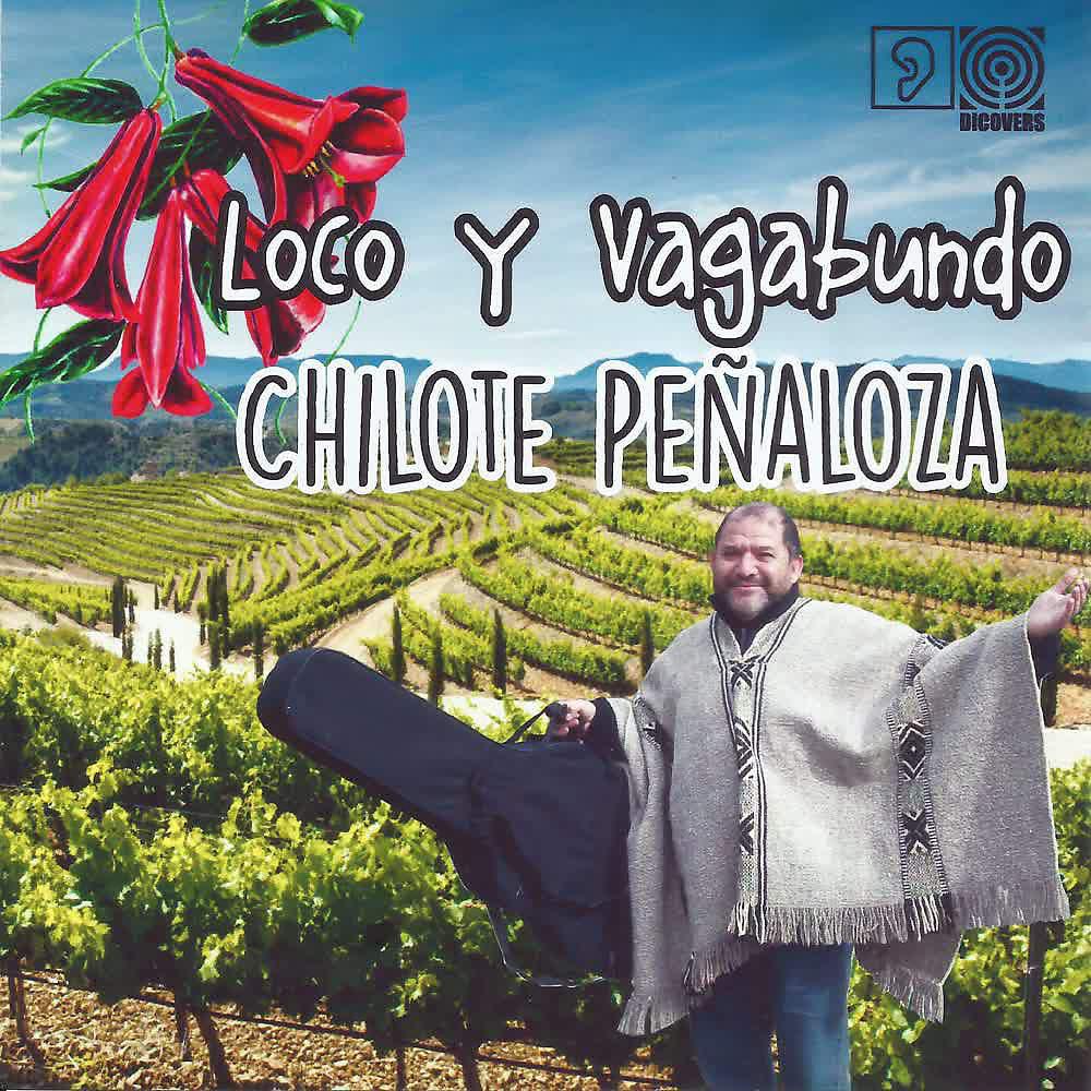 Постер альбома Loco y Vagabundo