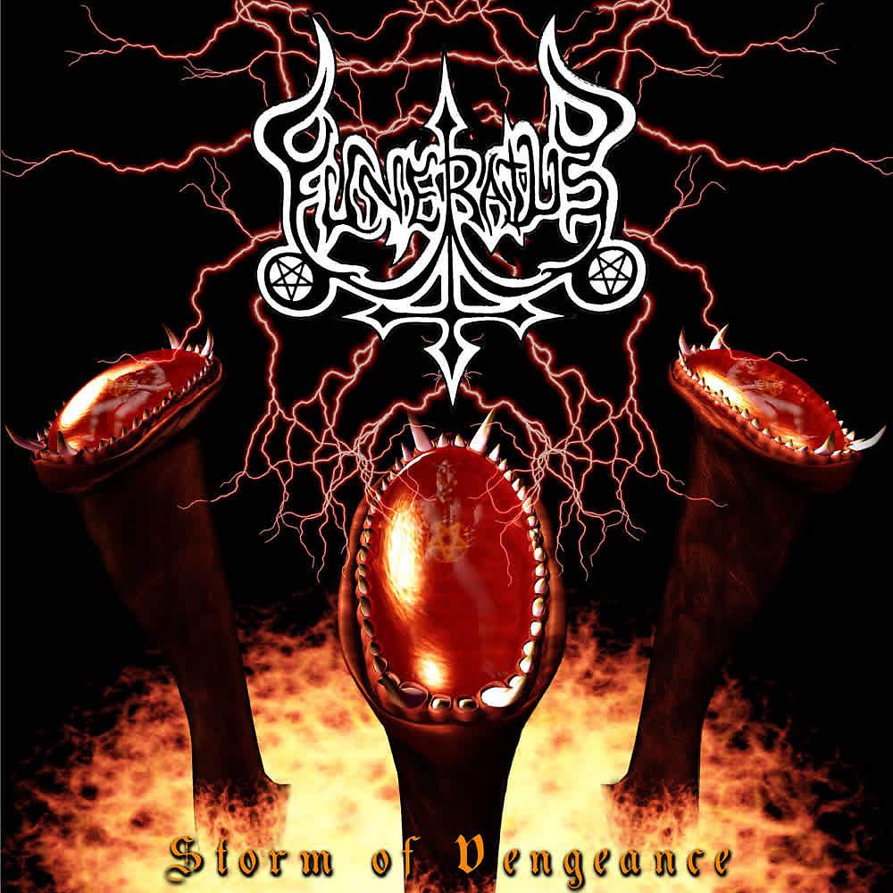 Постер альбома Storm of Vengeance