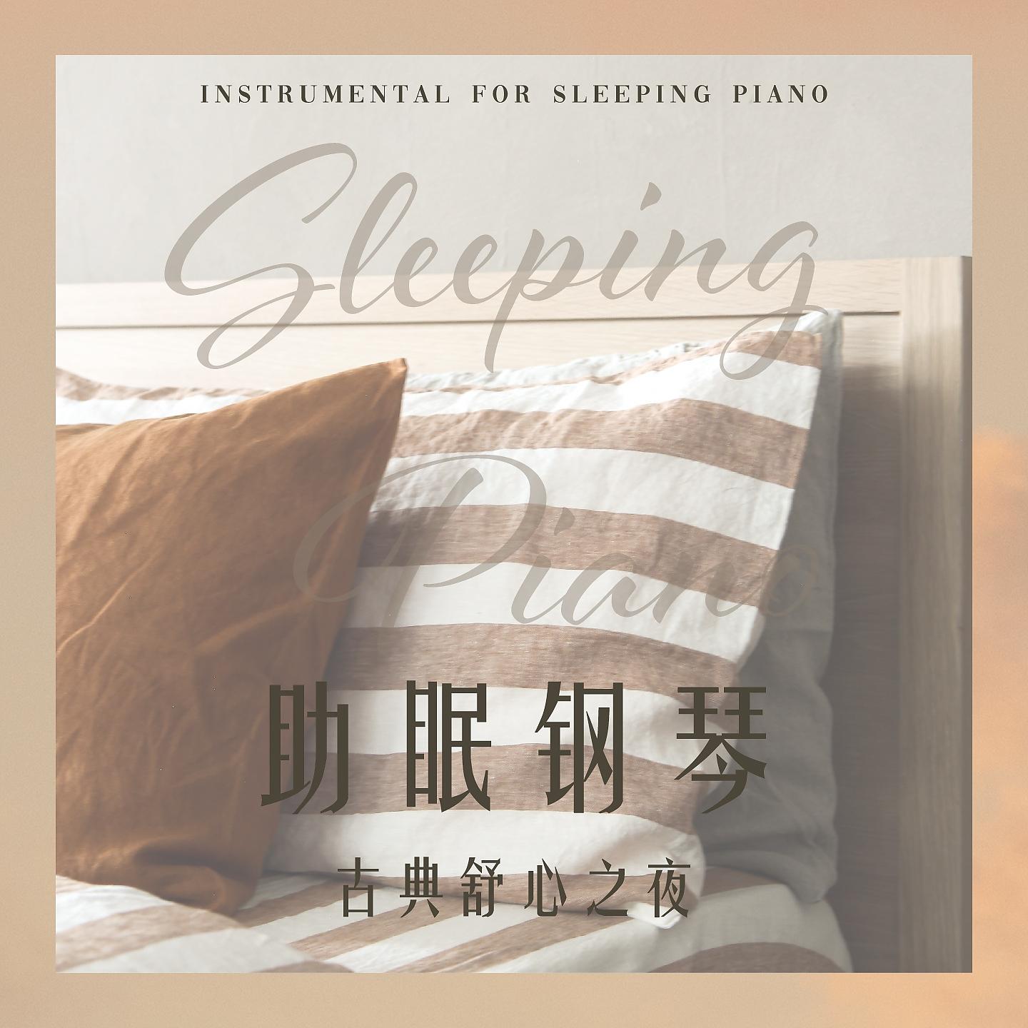 Постер альбома Sleeping Piano: Classical Comfortable Night