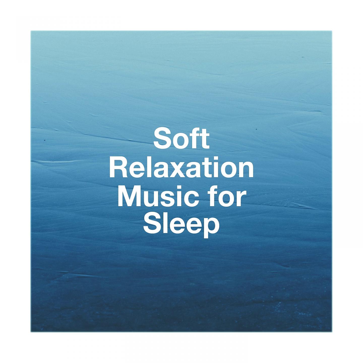 Постер альбома Soft Relaxation Music for Sleep
