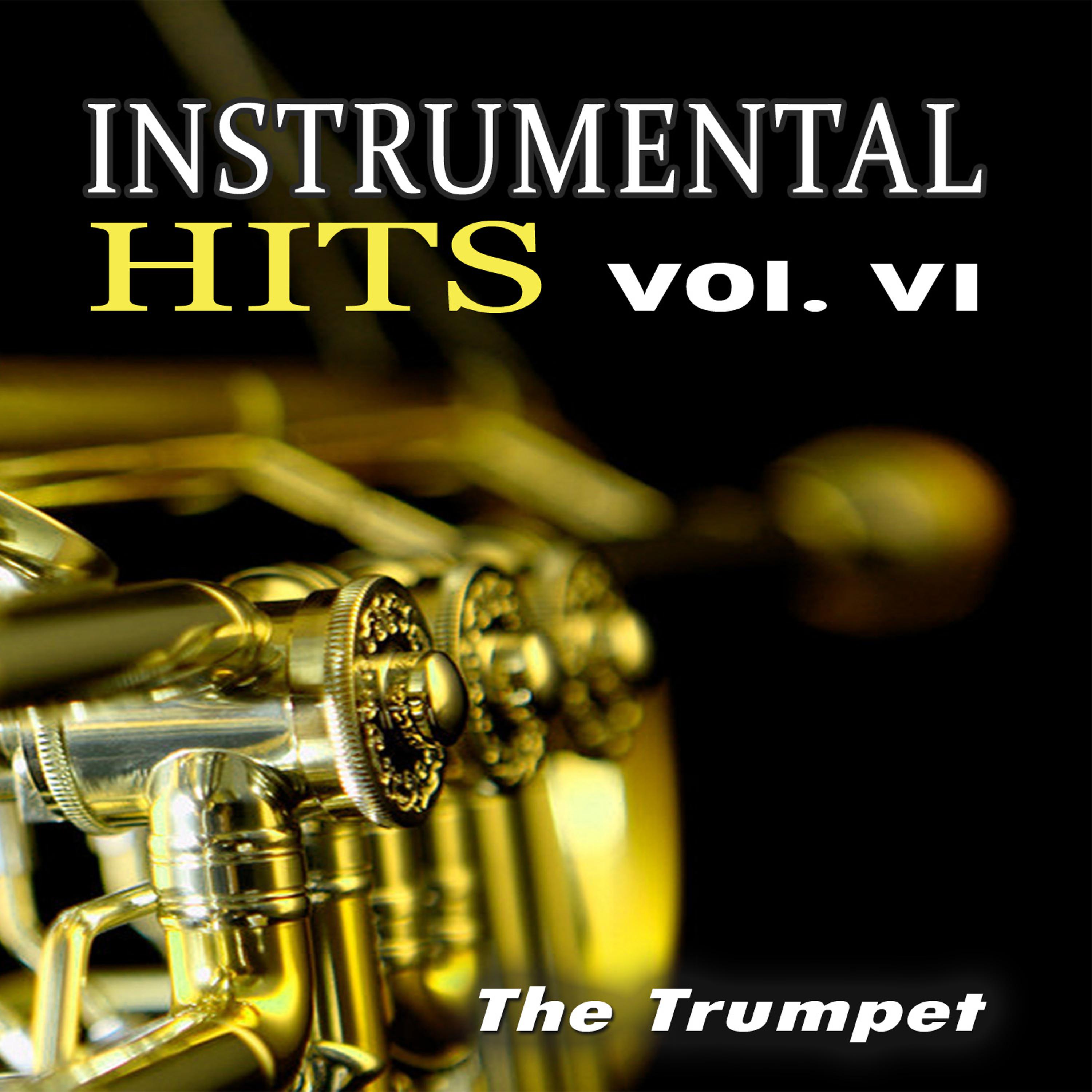 Постер альбома Instrumental Hits vol.6 (The Trumpet)