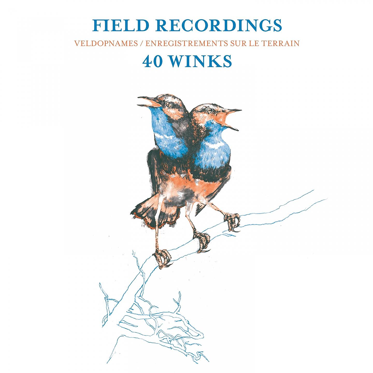 Постер альбома Field Recordings