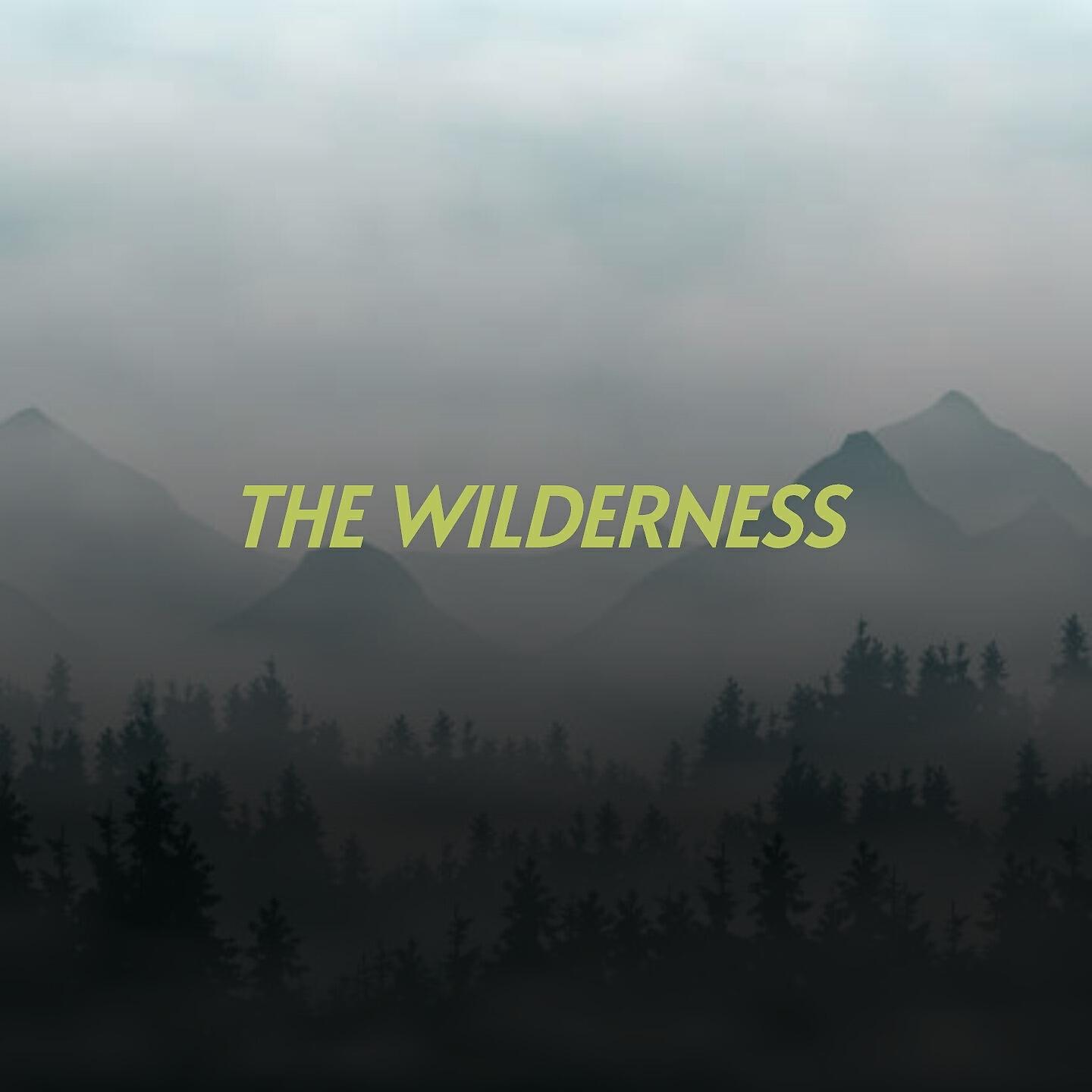 Franz Waxman - The Stars (Original Soundtrack from 'Lure of the Wilderness')