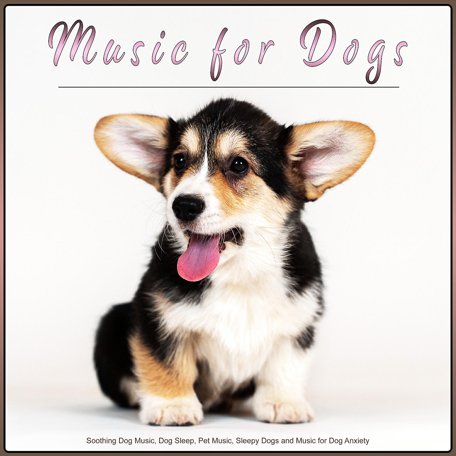Sleepy Dogs - Music for Dogs