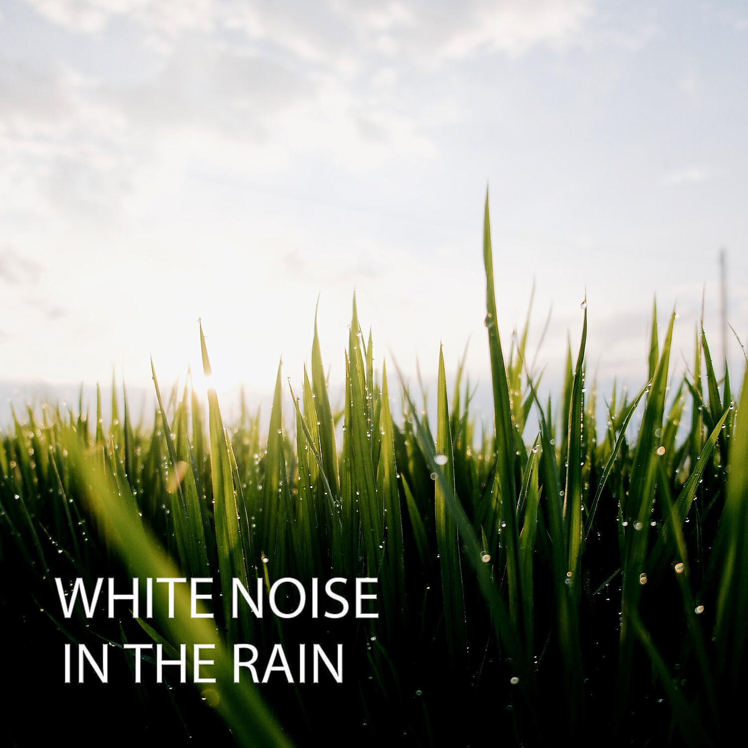 Deep Sleep - Rain Music For Sleep