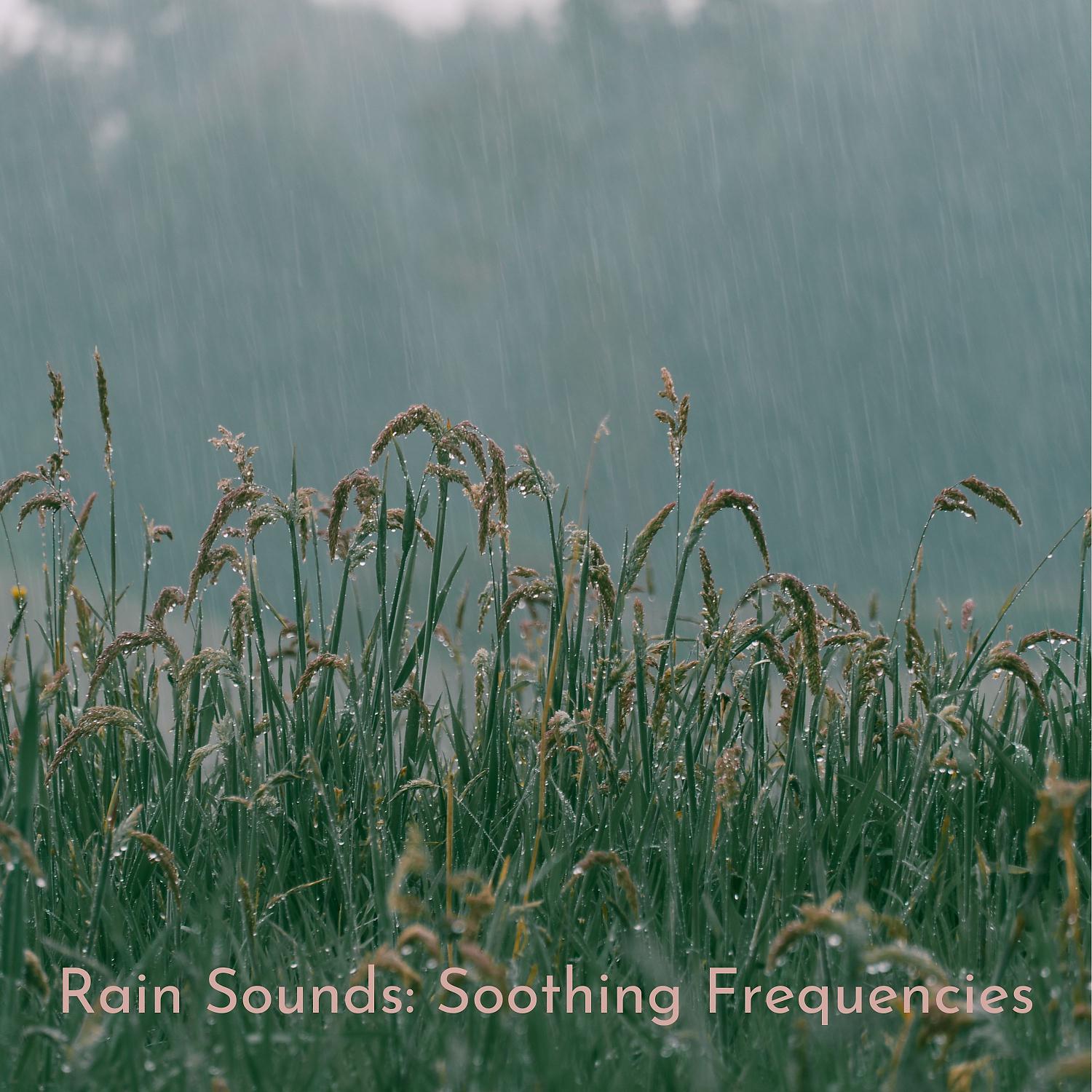 Постер альбома Rain Sounds: Soothing Frequencies