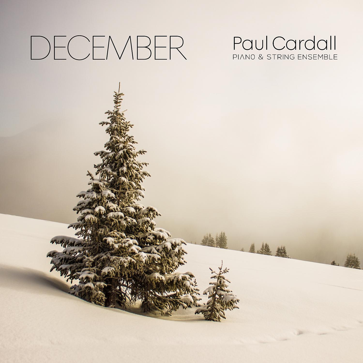Постер альбома December (Piano & String Ensemble)