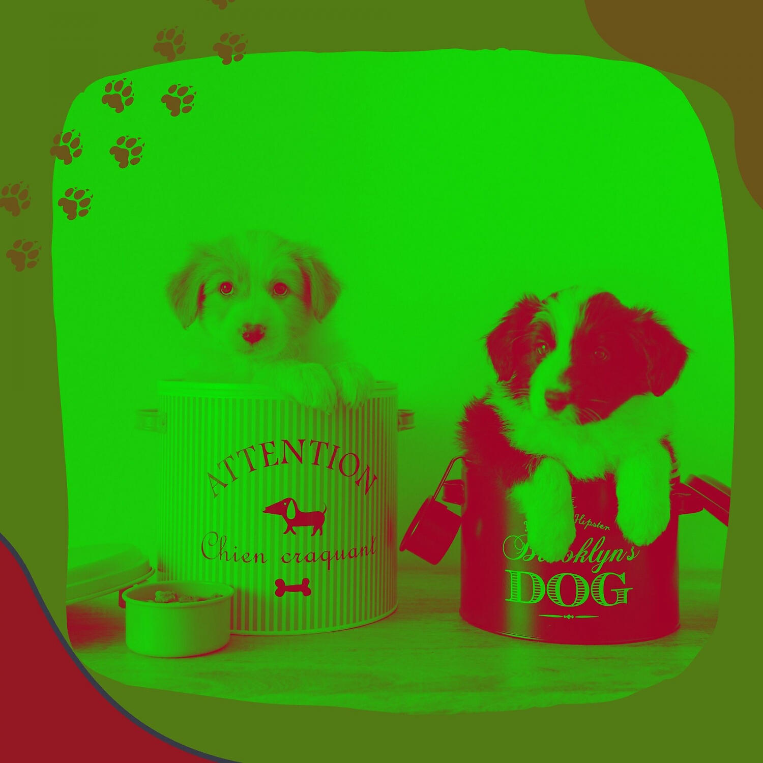 Amazing Doggy Music - Sprightly Bossa Nova - Vibe for Relaxing Your Dog