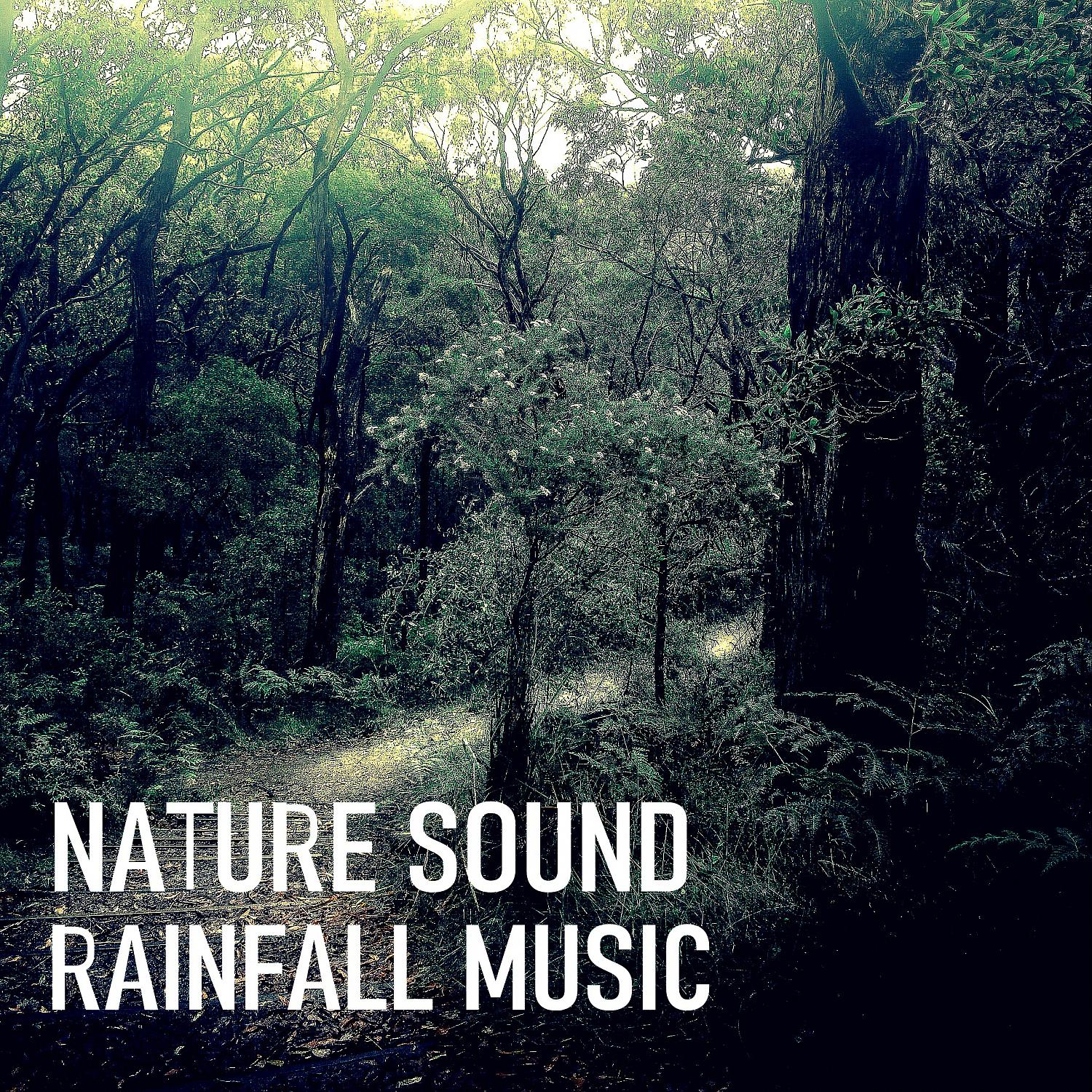 Постер альбома Nature Sound: Rainfall Music