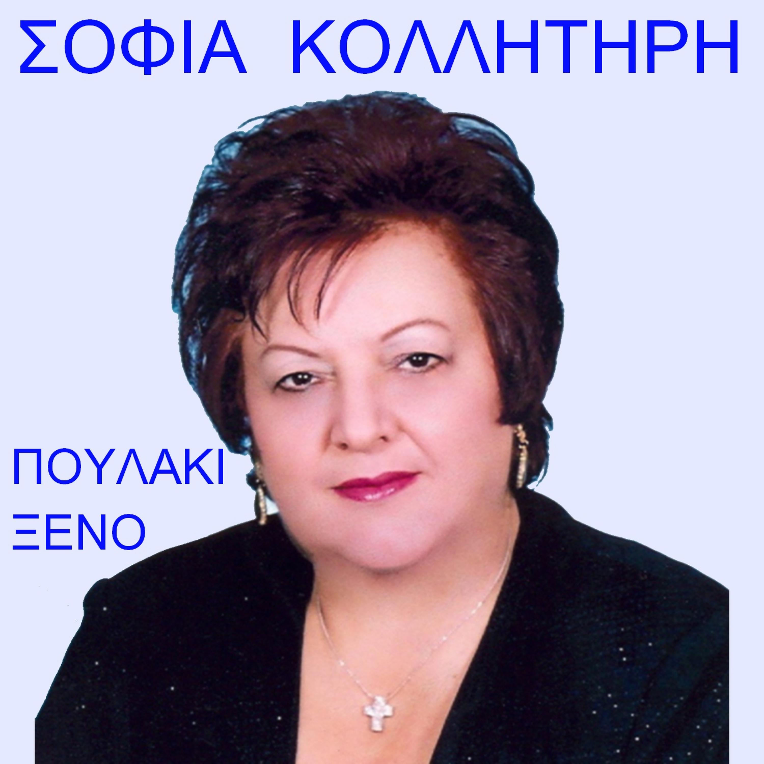 Постер альбома Poulaki Xeno