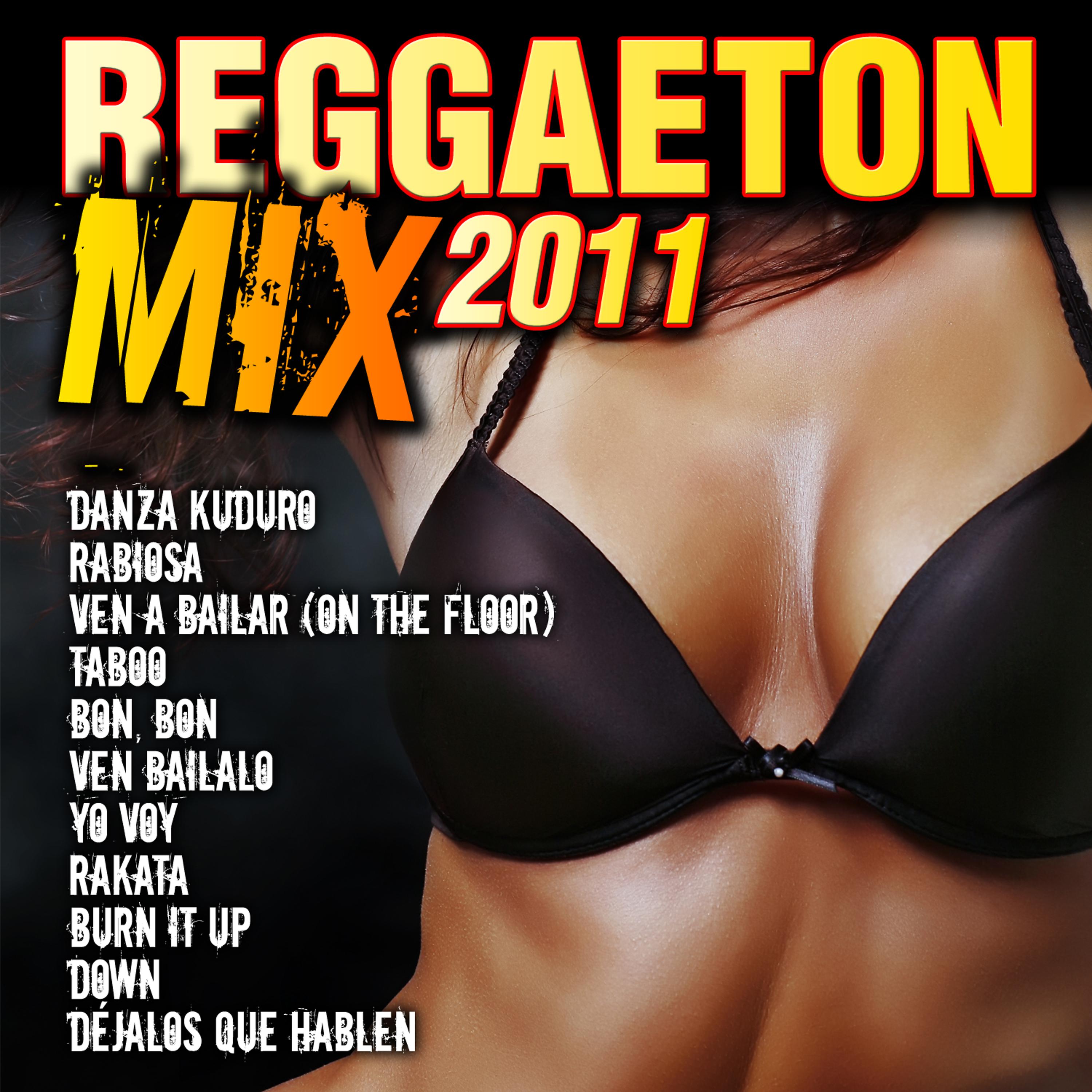 Постер альбома Reggaeton Mix 2011