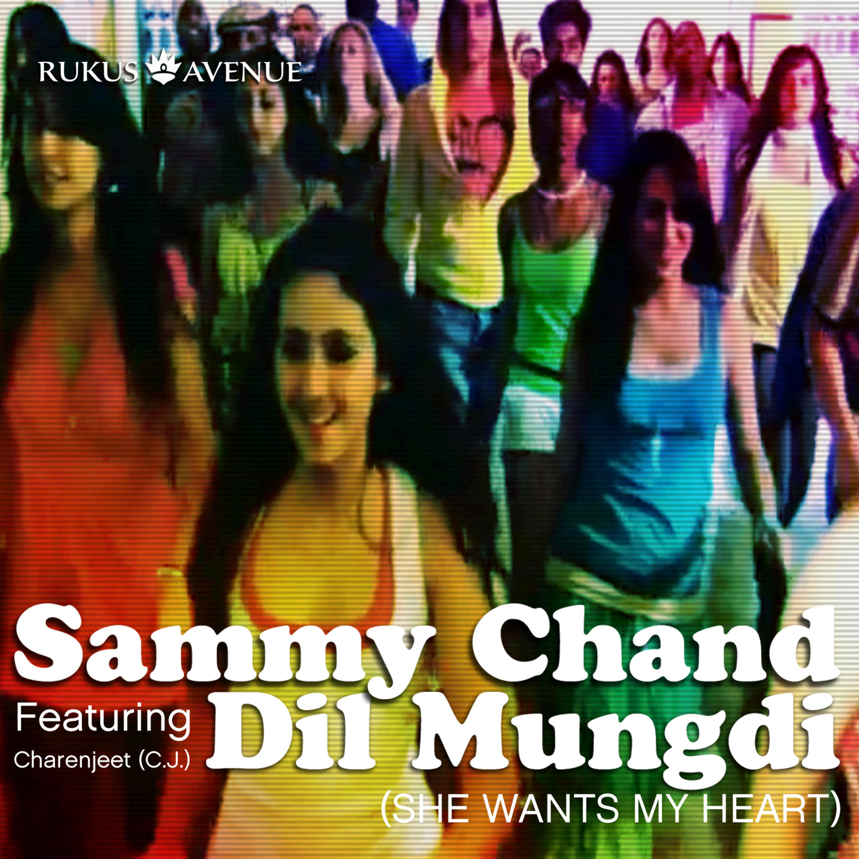 Постер альбома Dil Mungdi