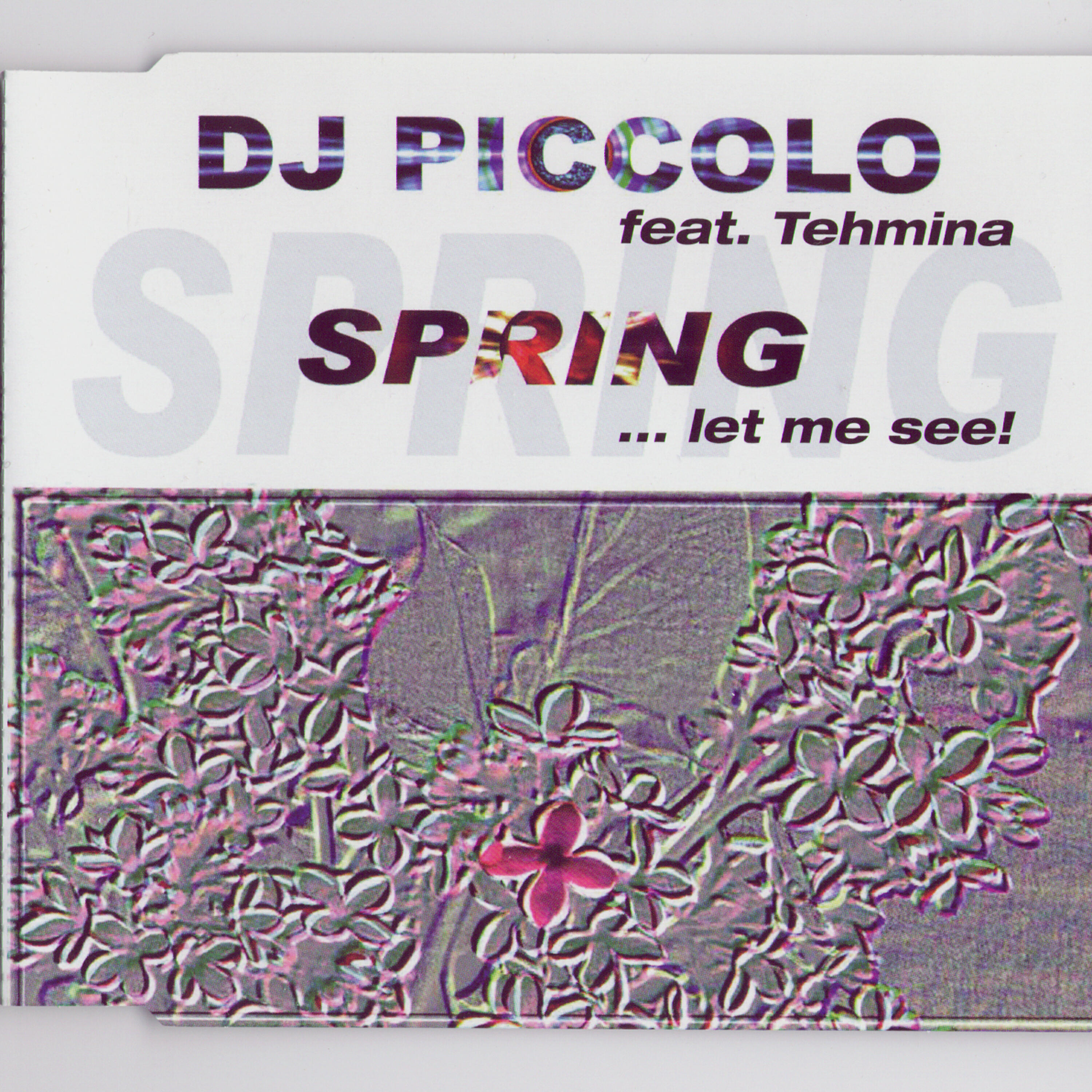 DJ Piccolo - Spring…Let Me See! (Holiday Cut)