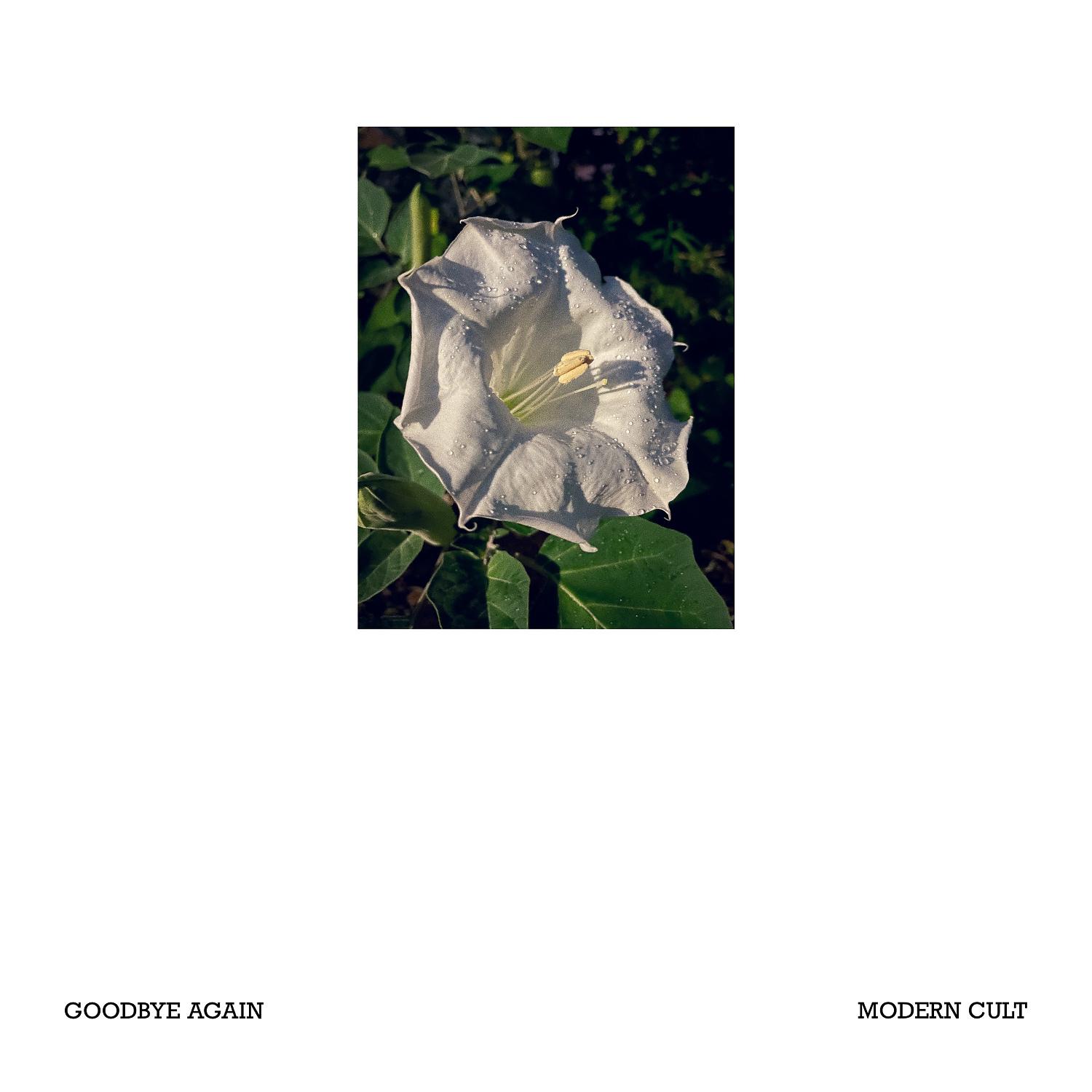 Постер альбома Goodbye Again (feat. Twanner)