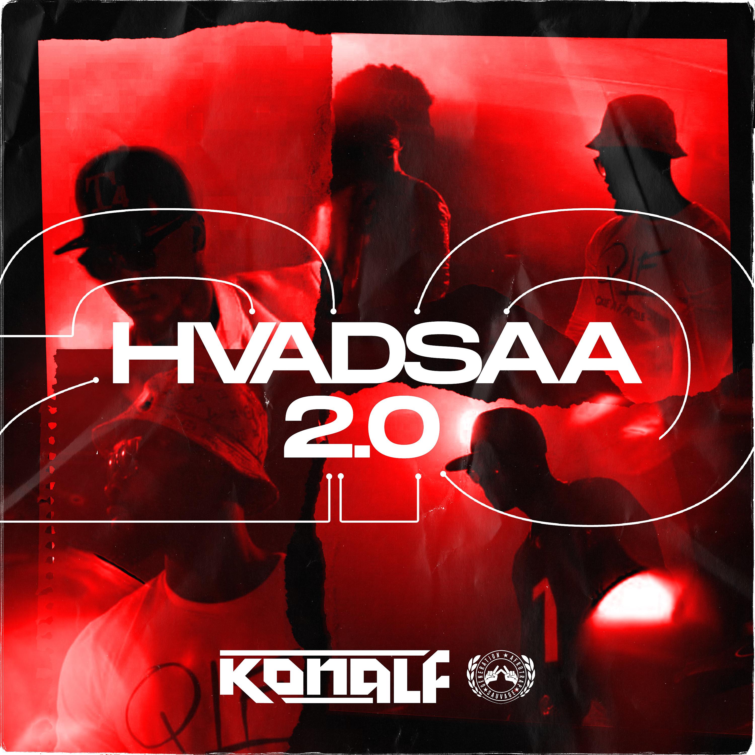 Постер альбома HVADSAA 2.0