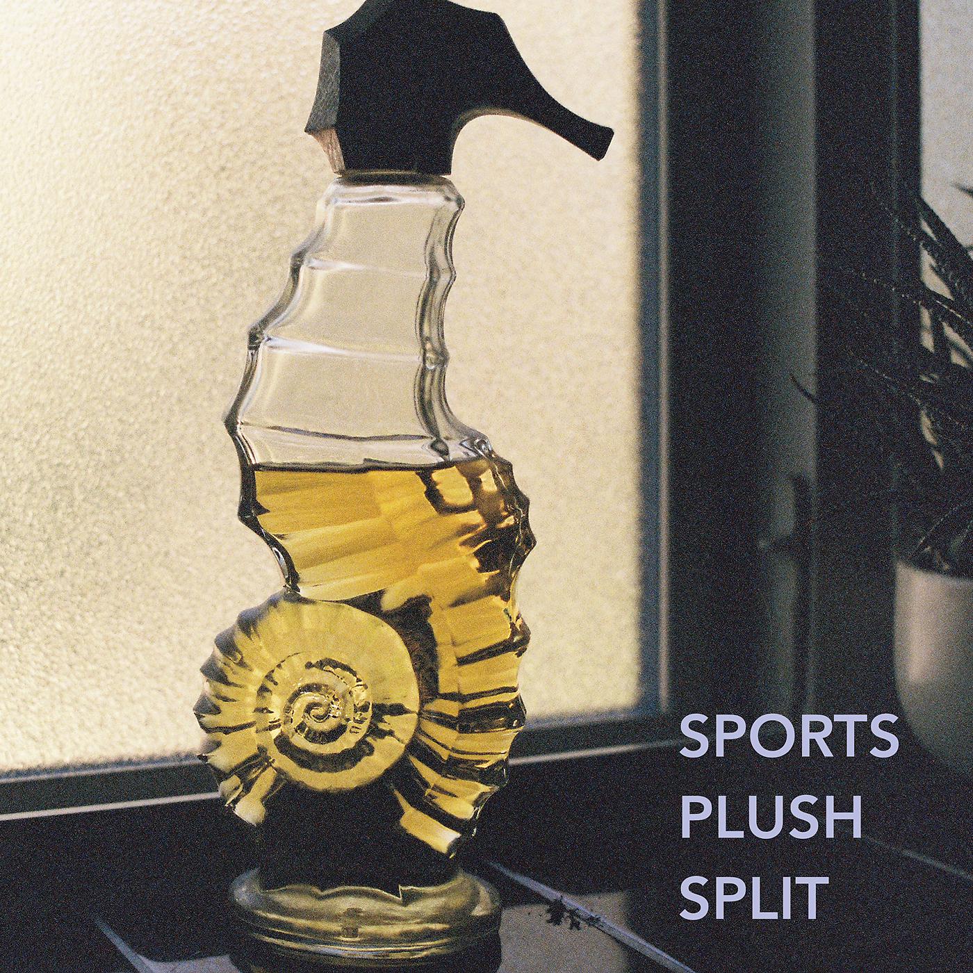 Постер альбома Remember Sports / Pllush Split
