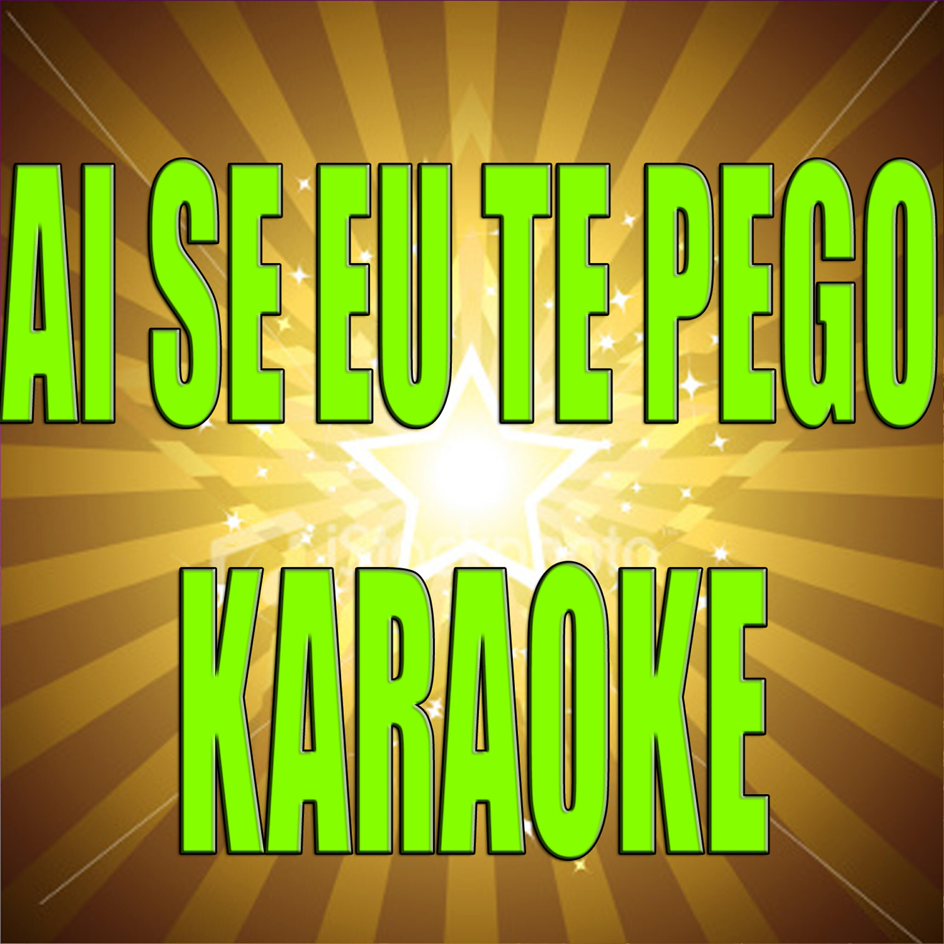The Official Karaoke - Ai Se Eu Te Pego (In the style of Michel Telo) (Karaoke)