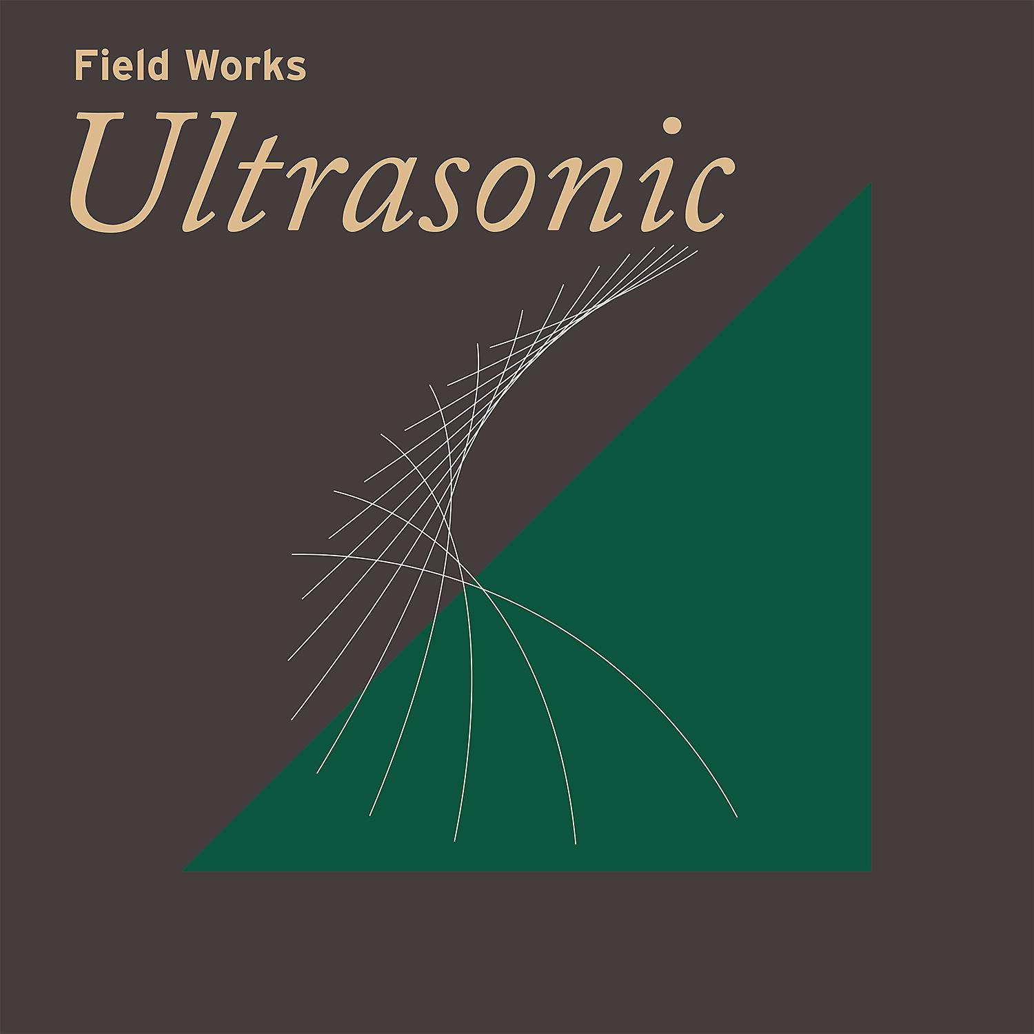 Постер альбома Field Works: Ultrasonic