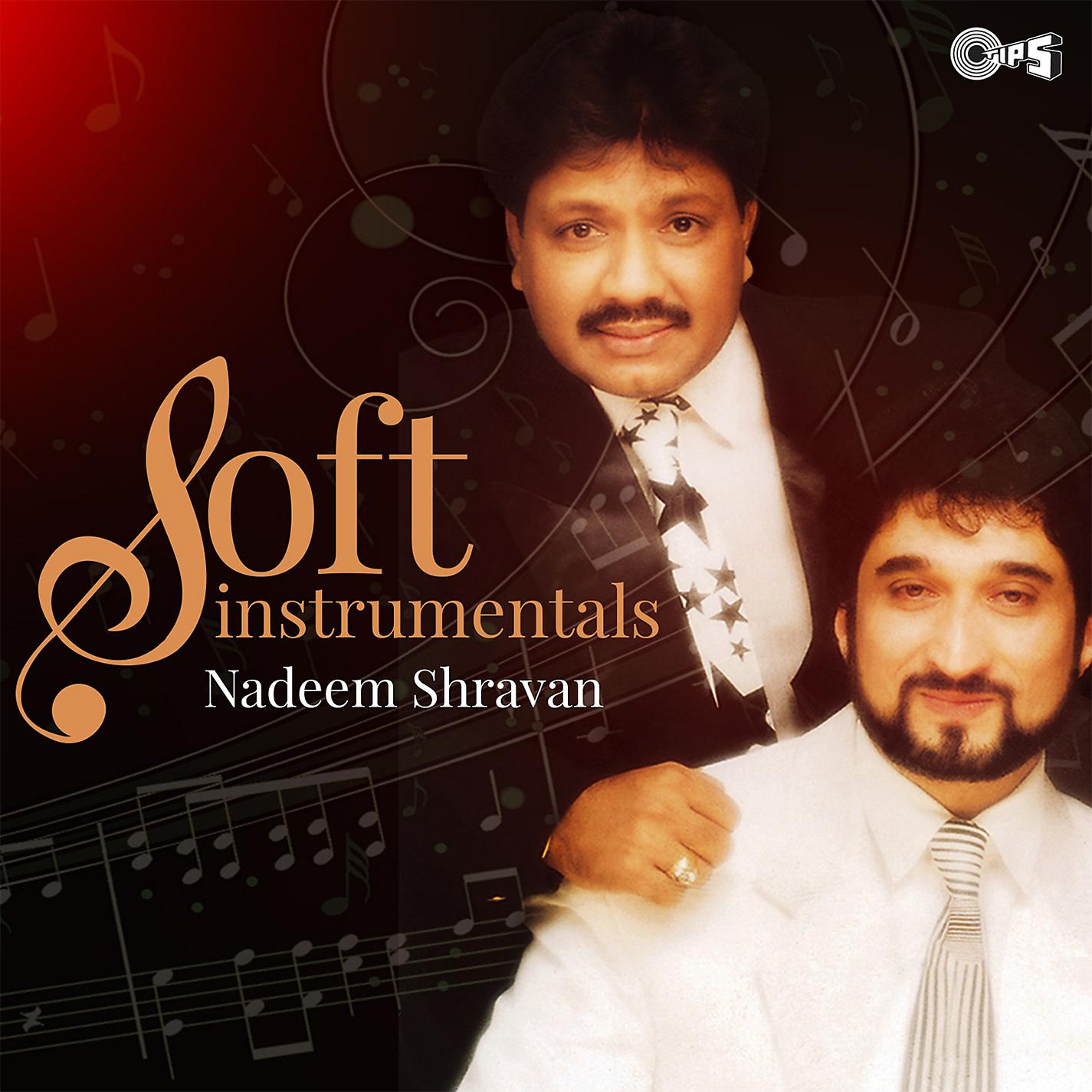 Постер альбома Soft Instrumentals: Nadeem Shravan
