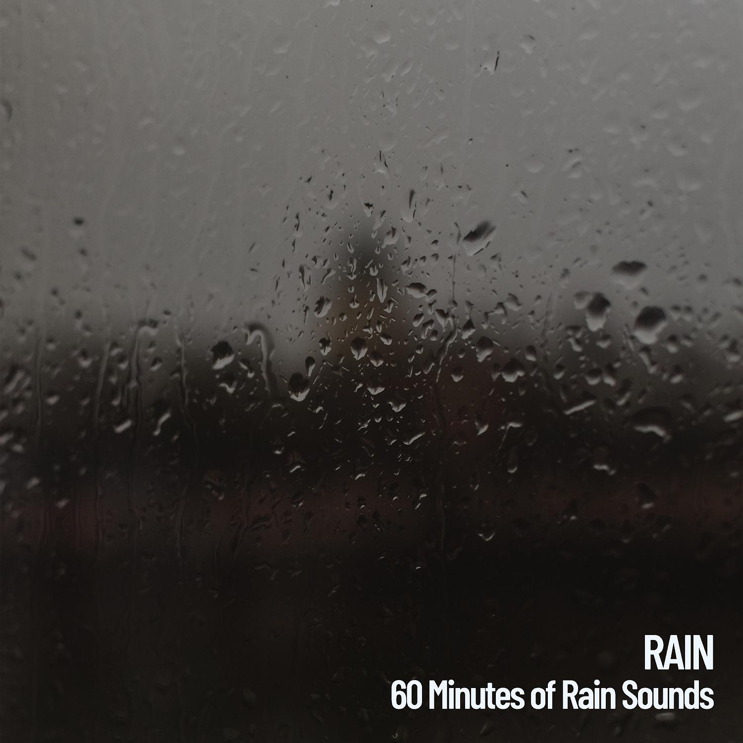 Постер альбома Rain: 60 Minutes of Rain Sounds