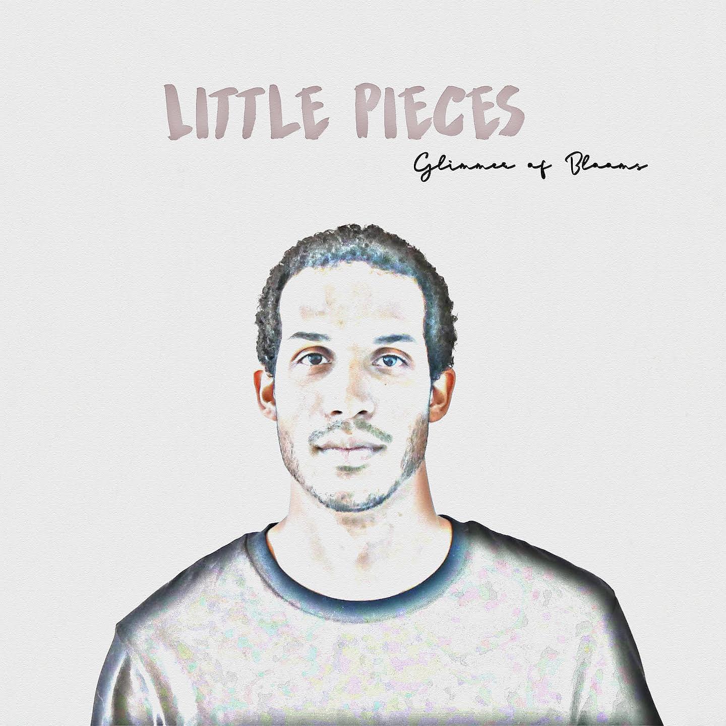 Постер альбома Little Pieces