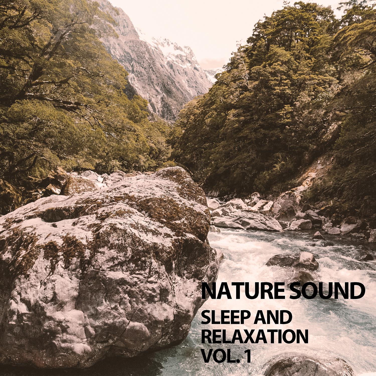 Постер альбома Nature Sound Sleep and Relaxation Vol. 1