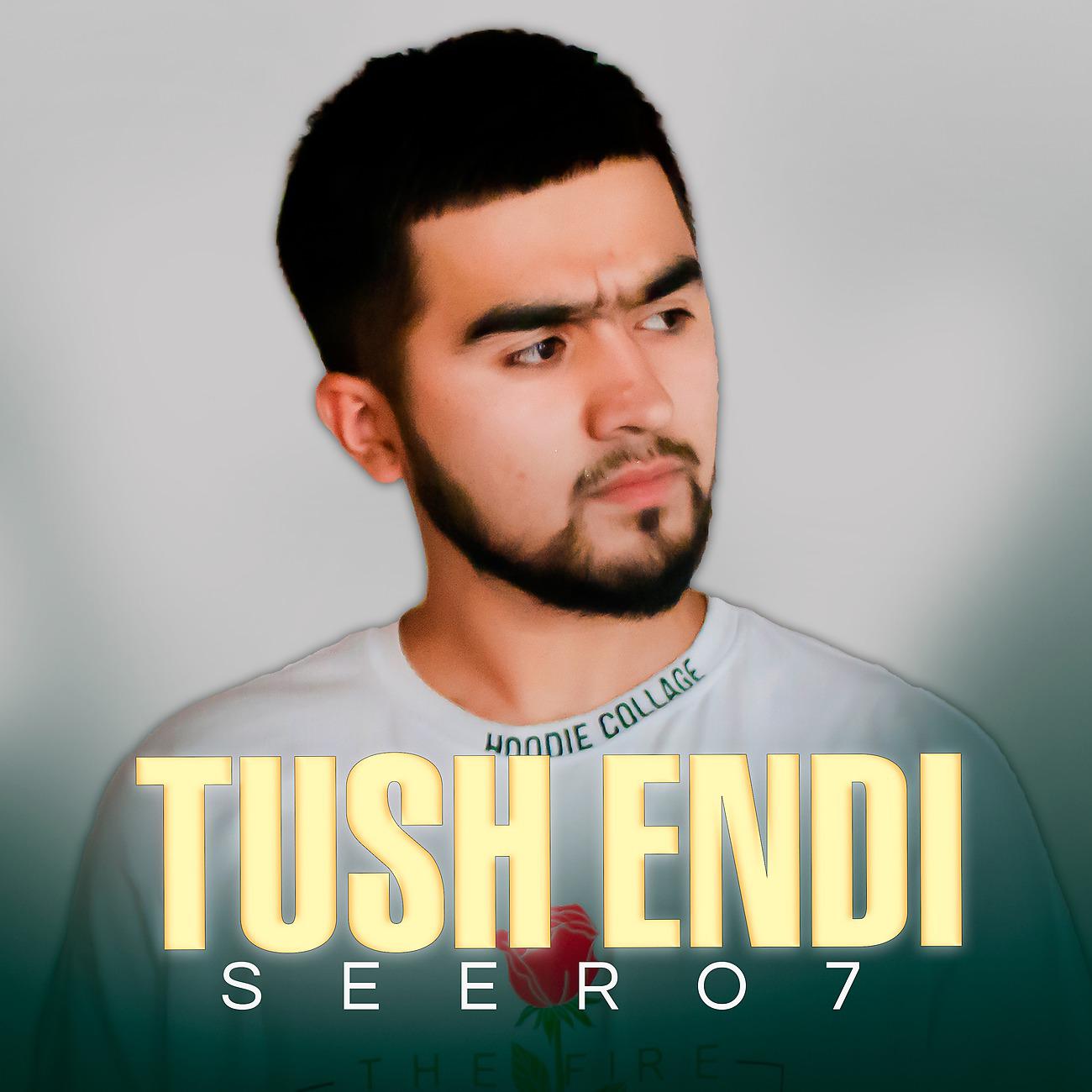 Постер альбома Tush endi