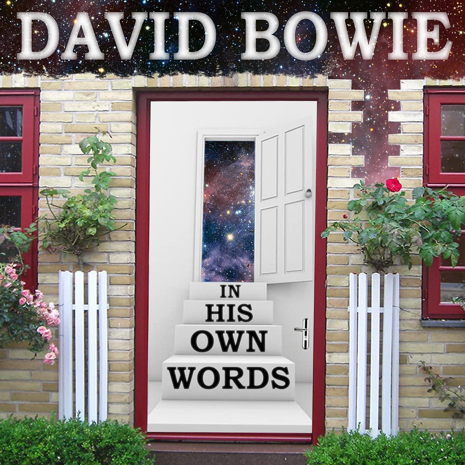 DAVID BOWIE - Hard Wave