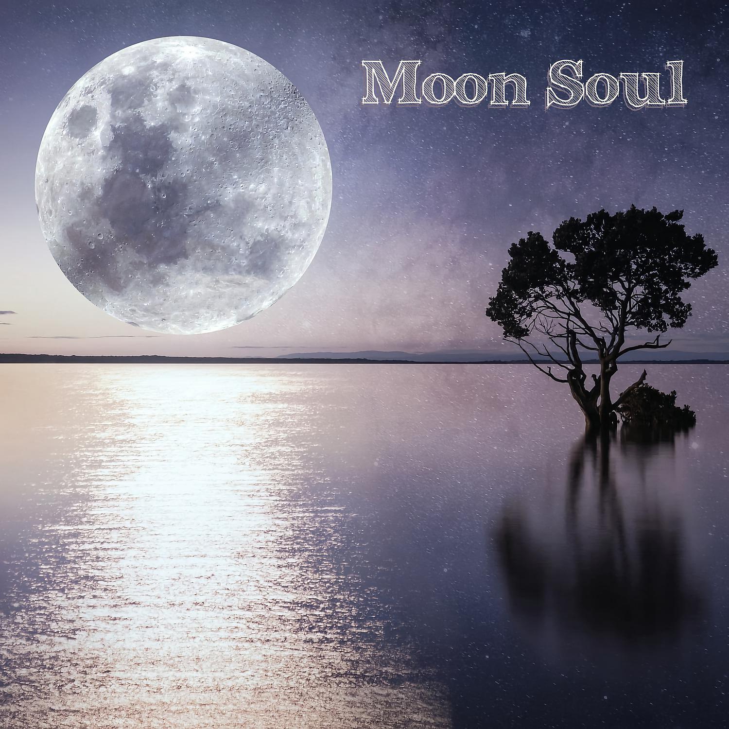 Постер альбома Moon Soul