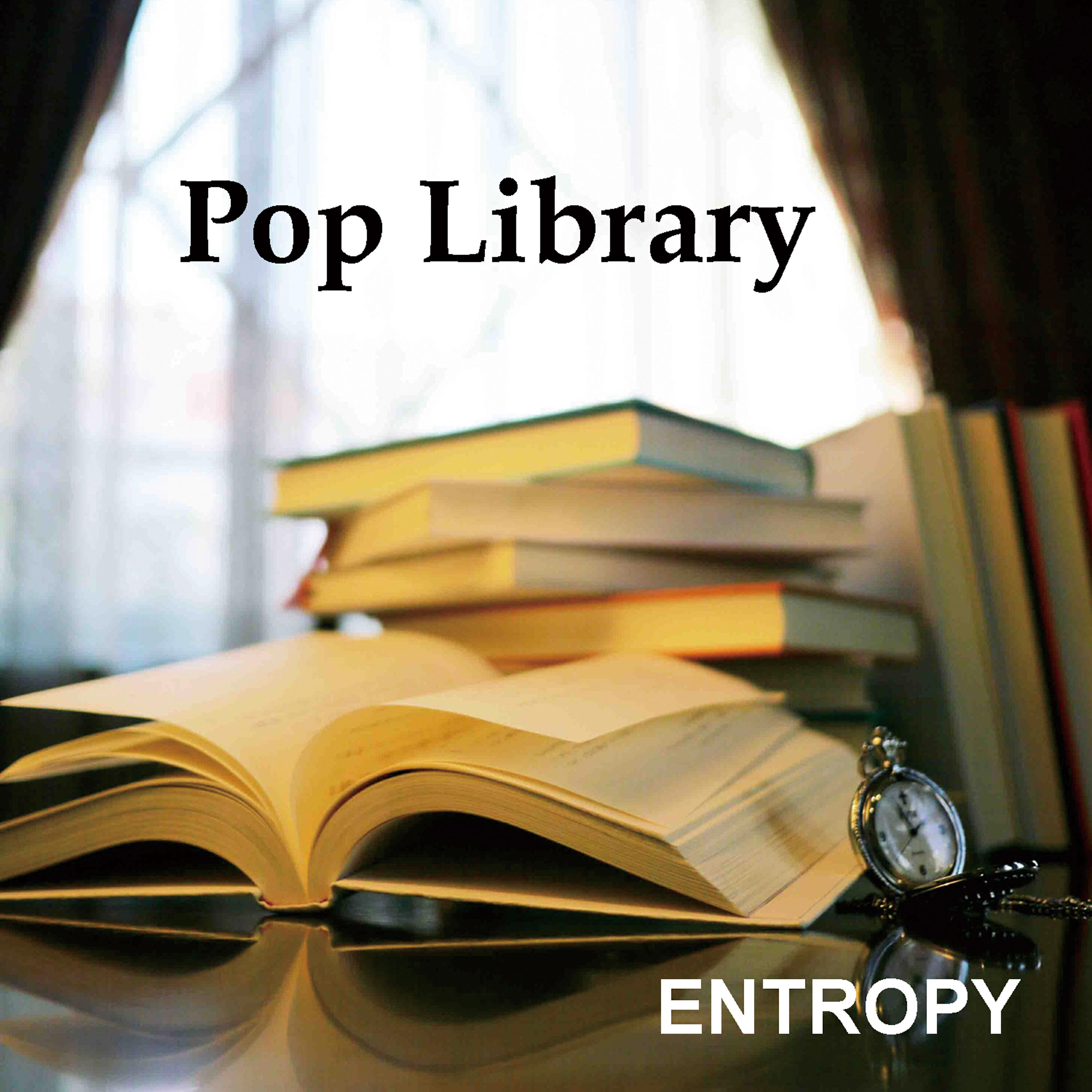 ENTROPY - replica