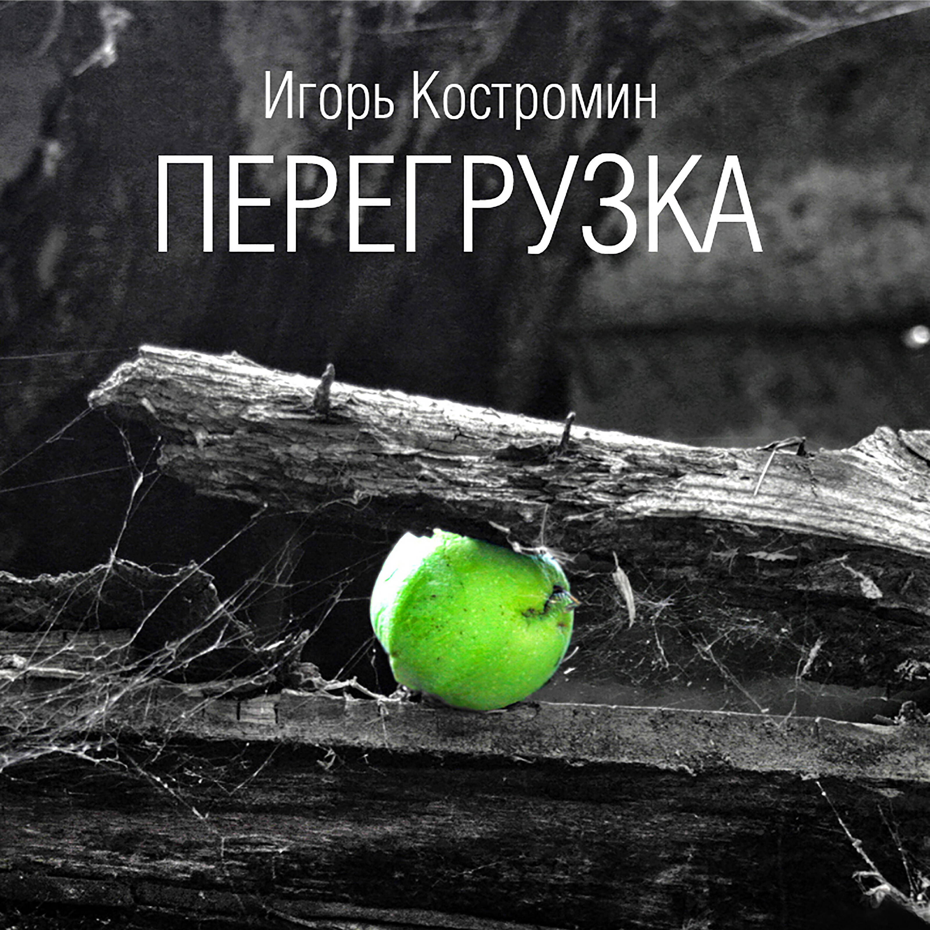 Игорь Костромин - Умирая, стремишься ввысь