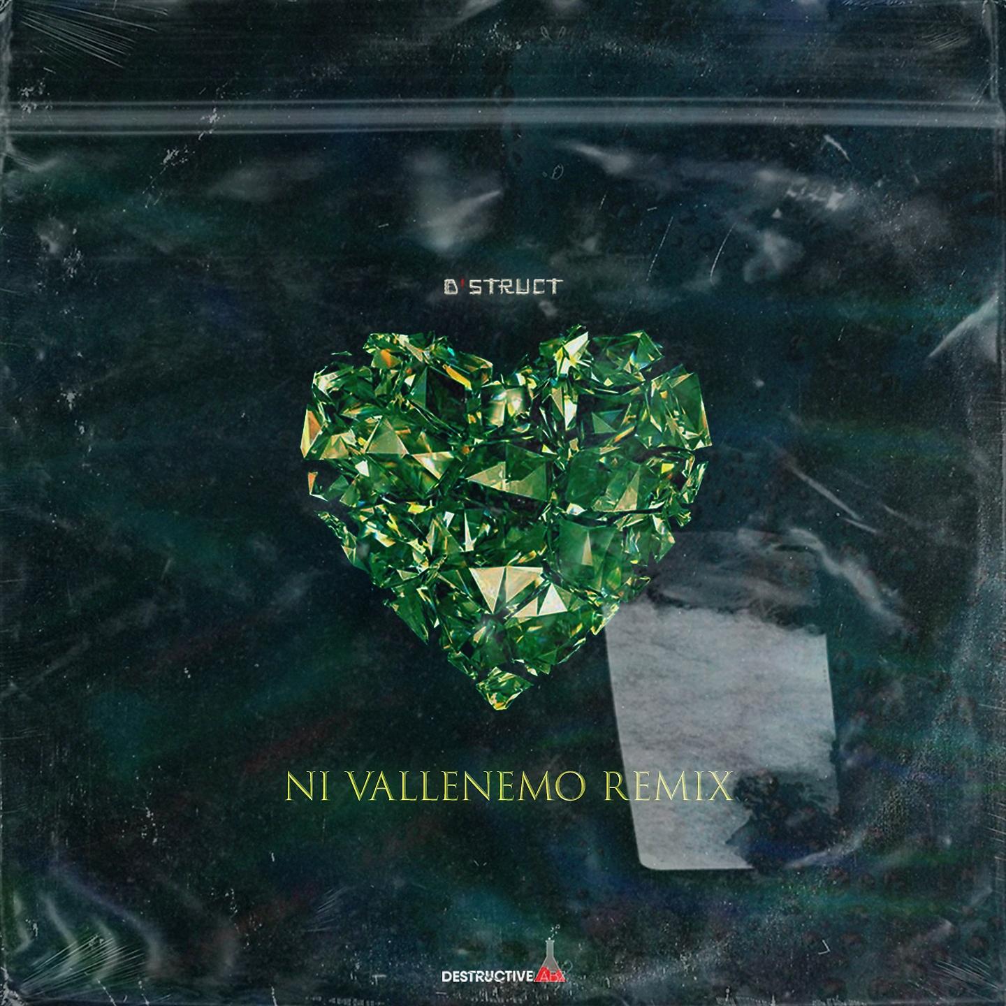Постер альбома Ni Vallenemo