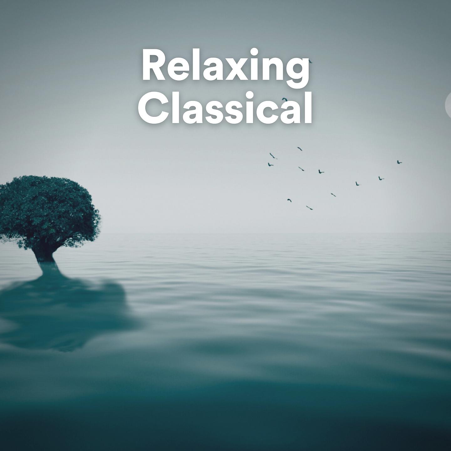 Постер альбома Relaxing Classical
