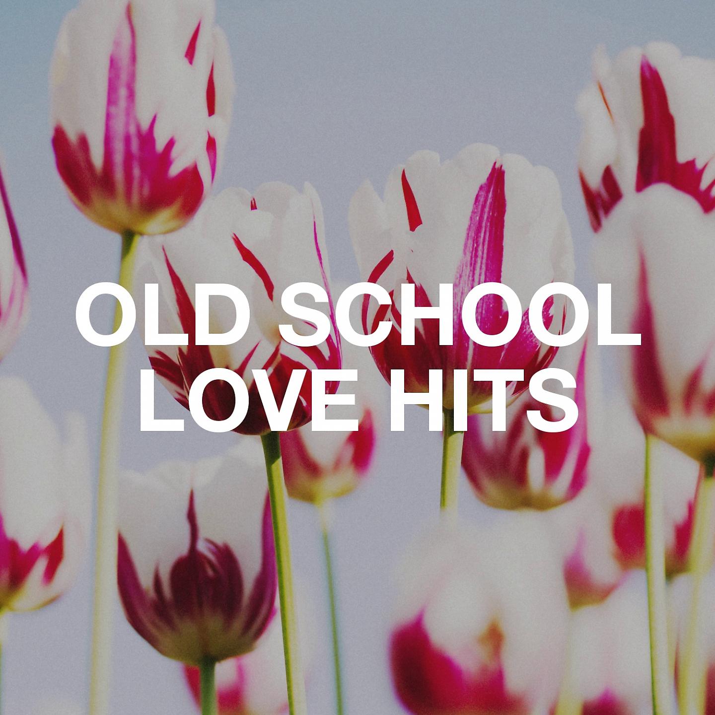 Постер альбома Old School Love Hits