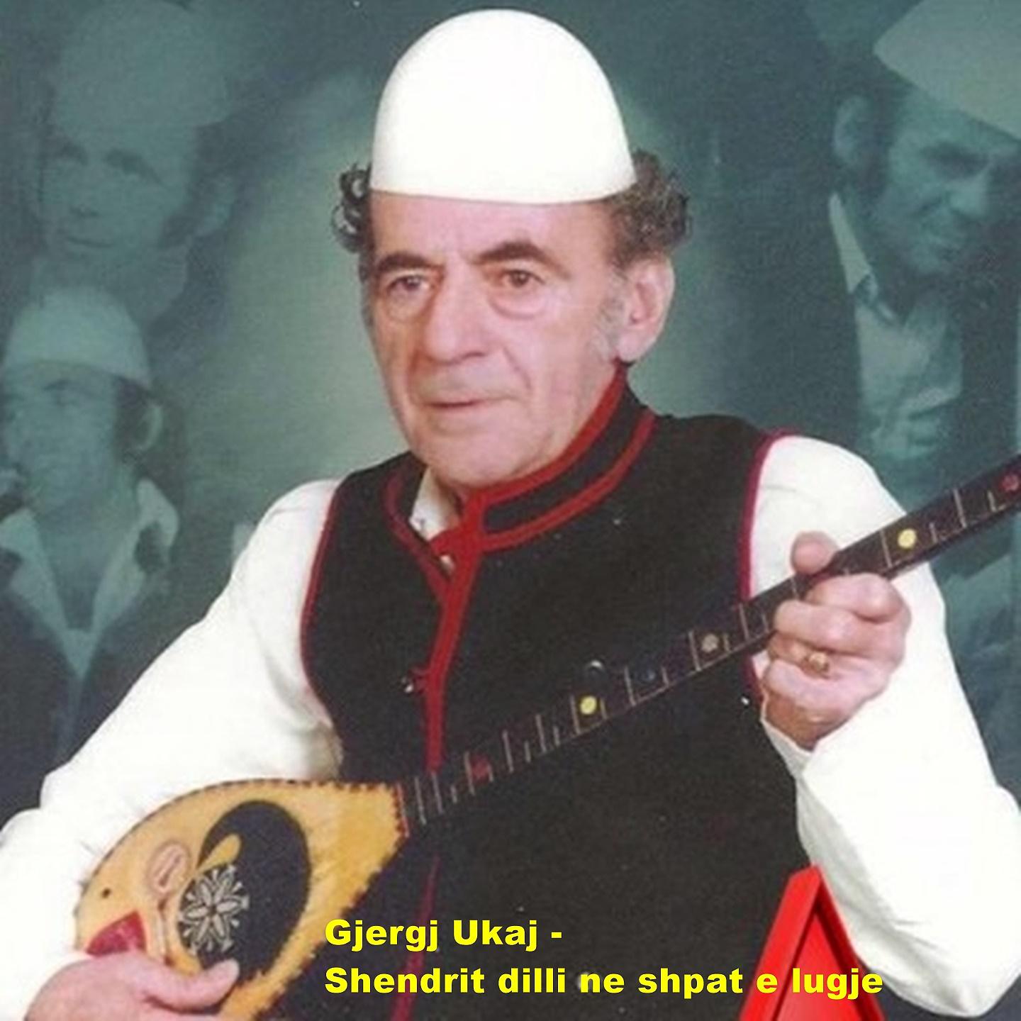 Постер альбома Shendrit Dilli Ne Shpat E Lugje