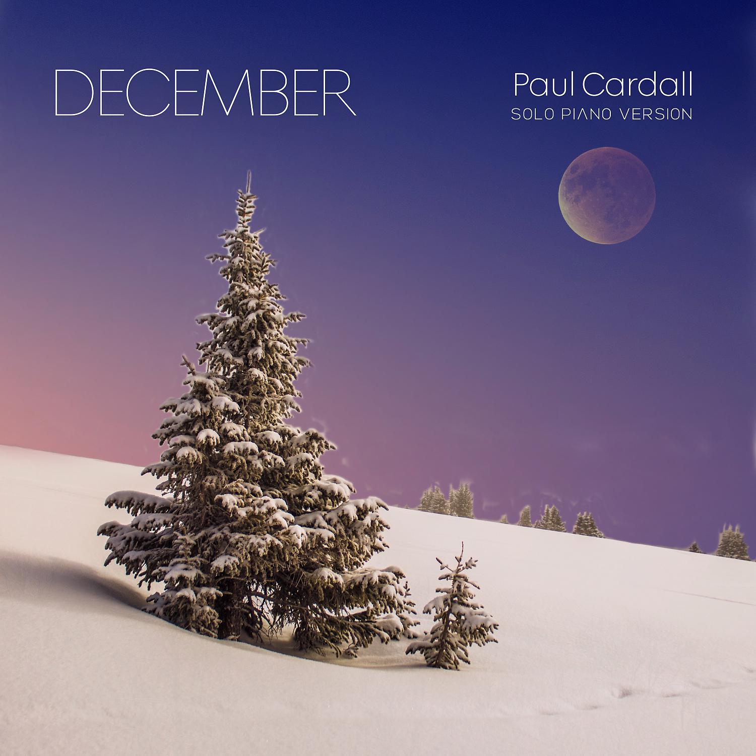 Постер альбома December (Solo Piano)