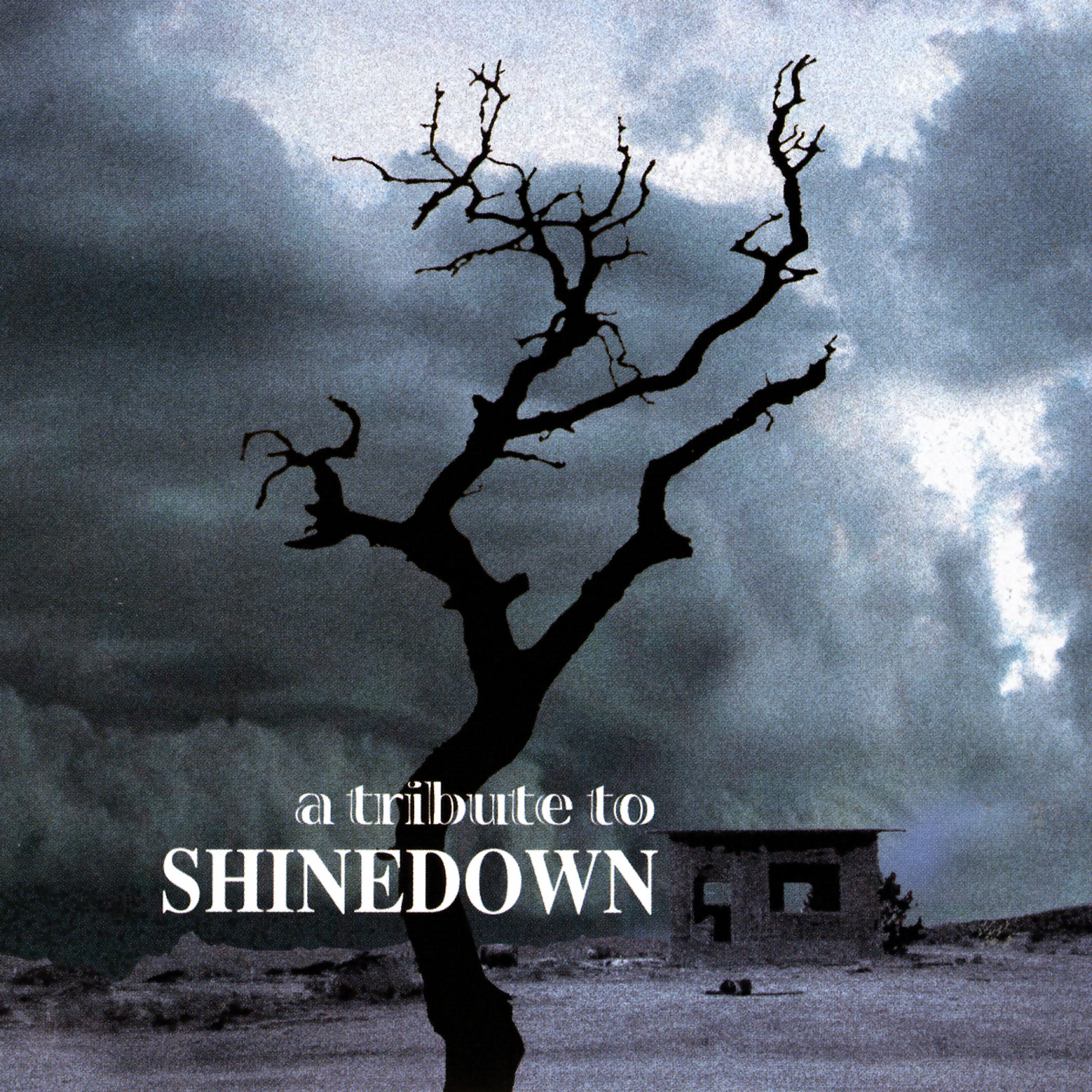 Постер альбома A Tribute To Shinedown