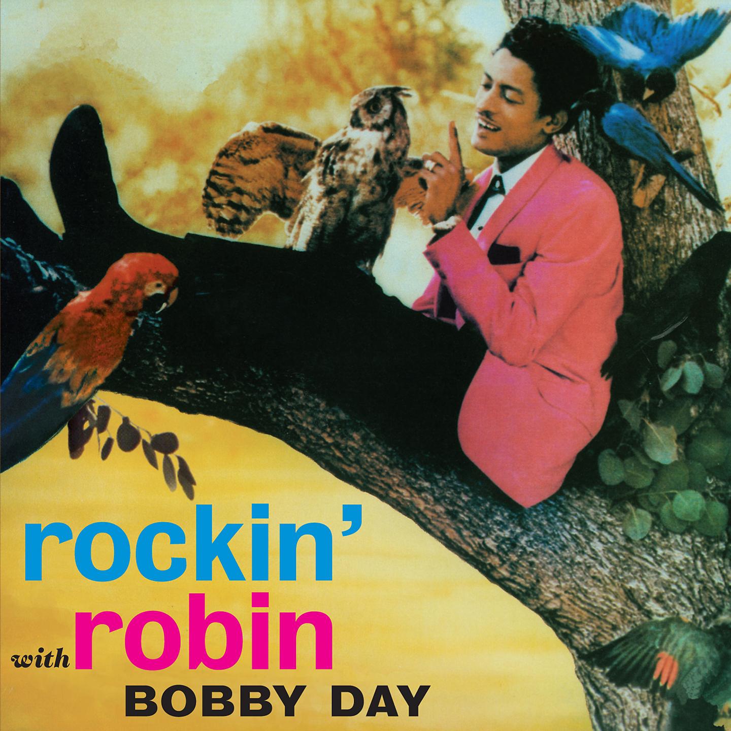 Постер альбома Rockin` Robin