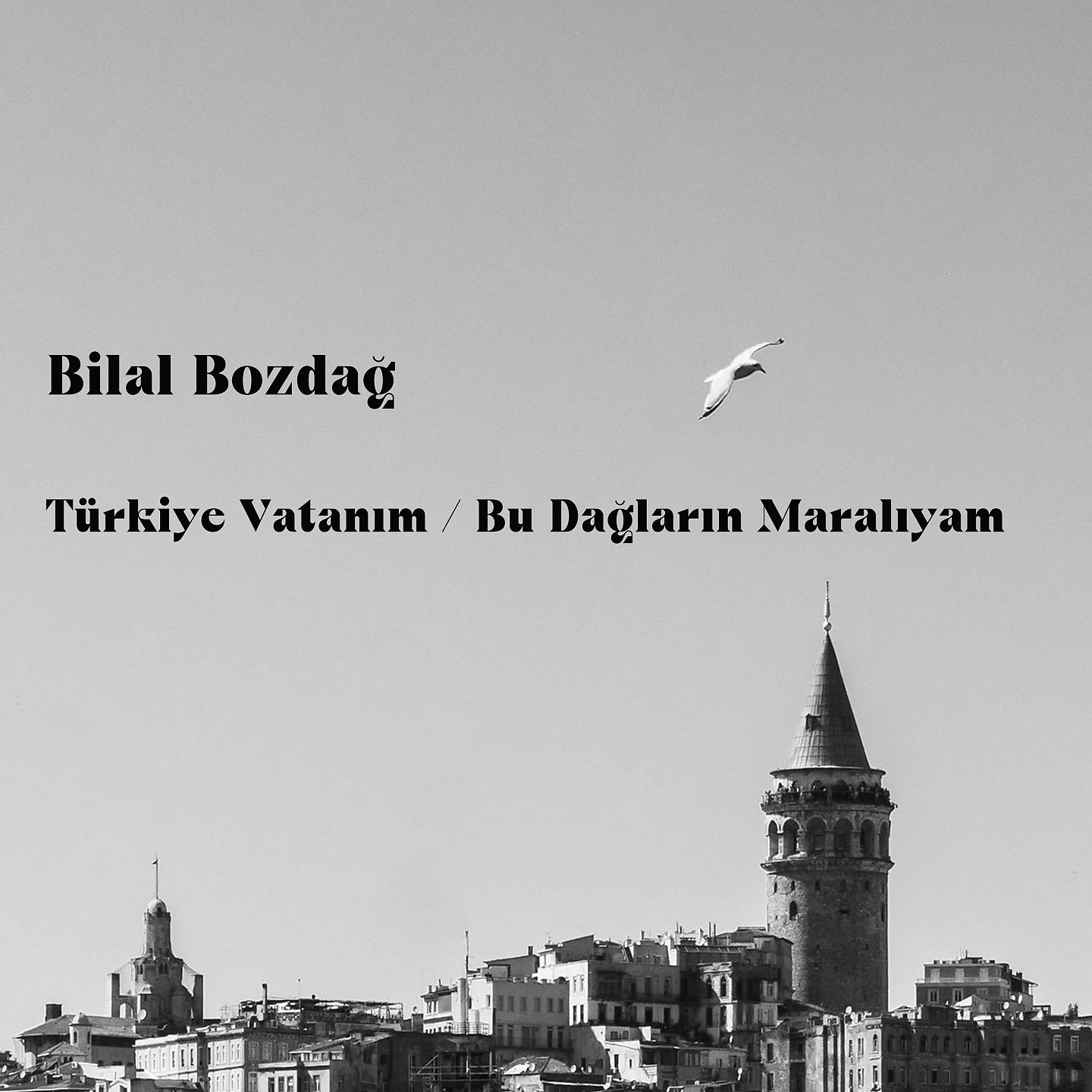 Постер альбома Türkiye Vatanım / Bu Dağların Maralıyam