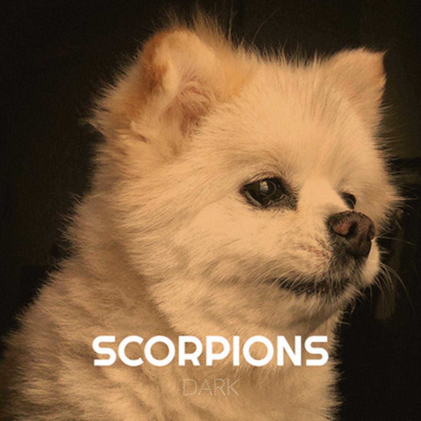 Постер альбома Scorpions
