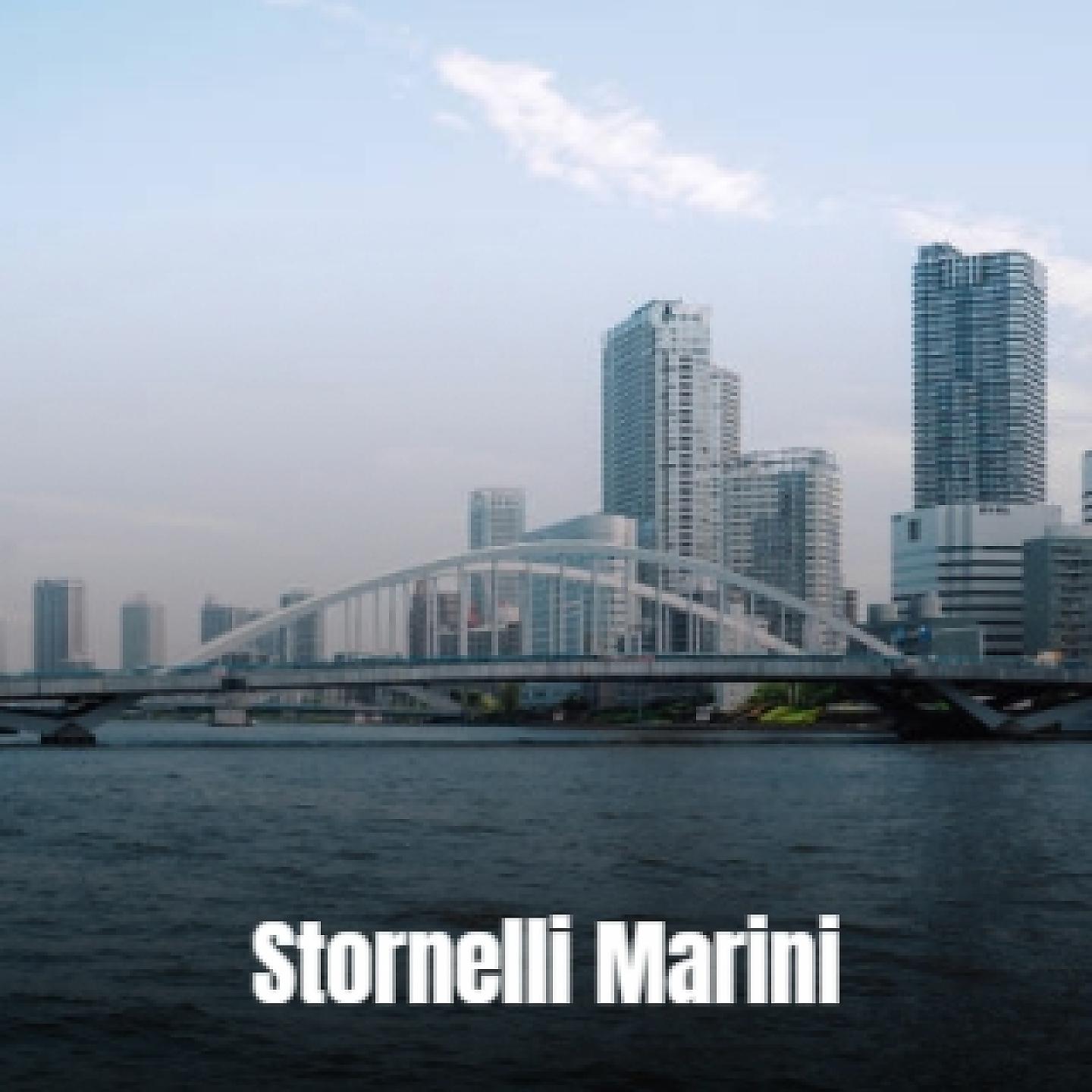Постер альбома Stornelli Marini