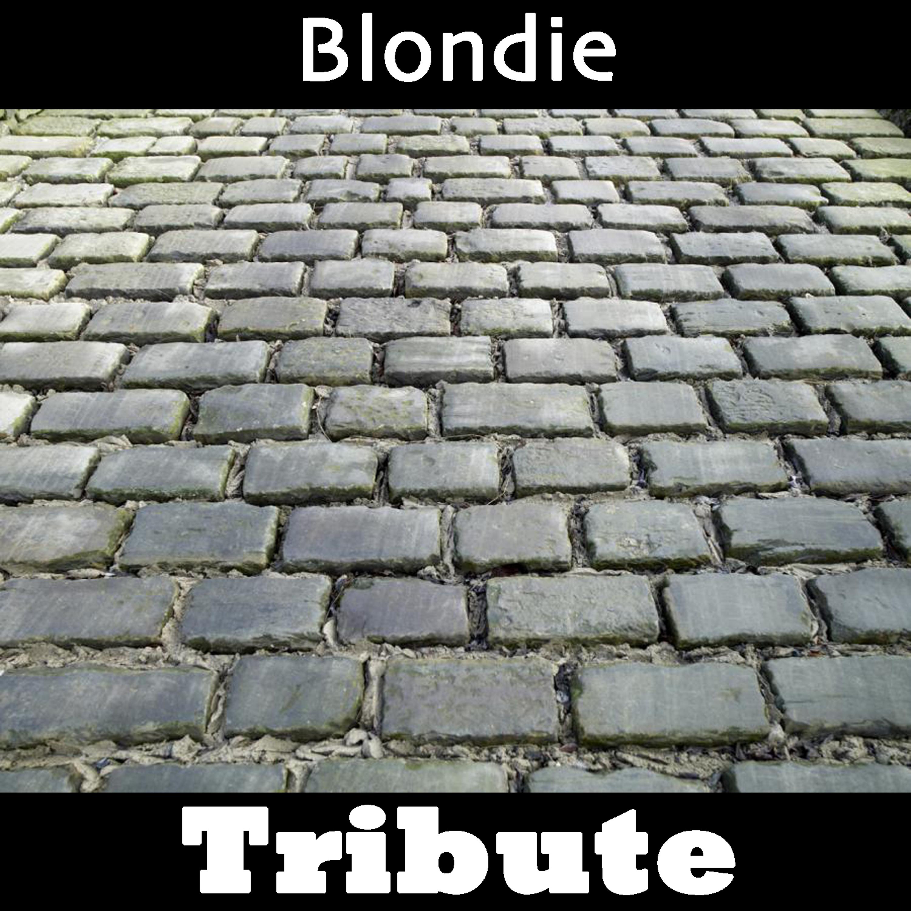Постер альбома Maria: Tribute To Blondie