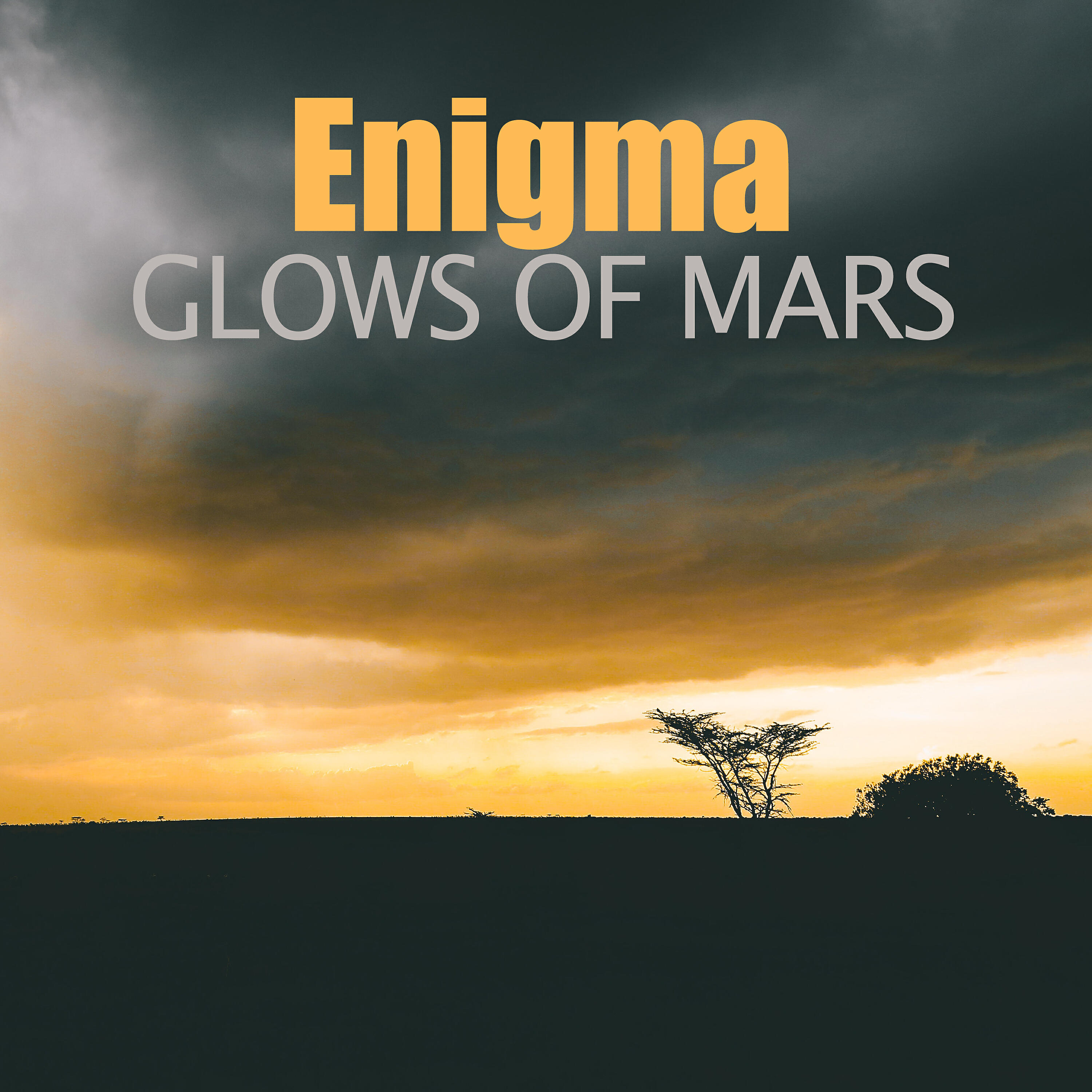 Enigma - Florid Train